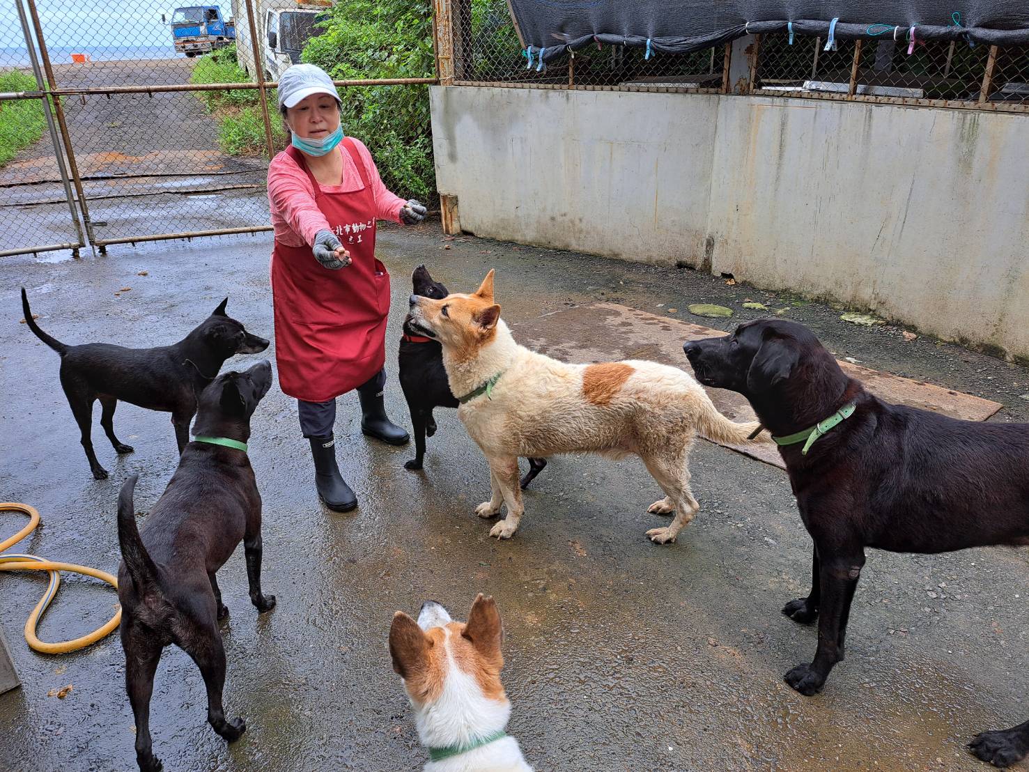  適當的飲食與運動可幫助新陳代謝與血糖穩定