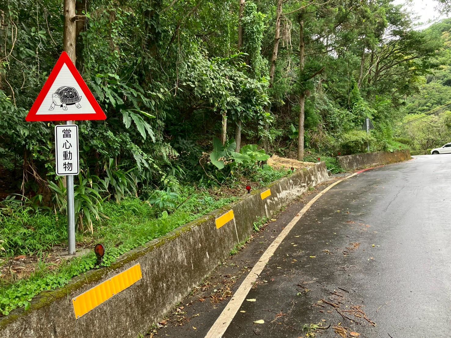 設置由政治大學學生設計的食蛇龜警示標誌，提醒用路人減速慢行