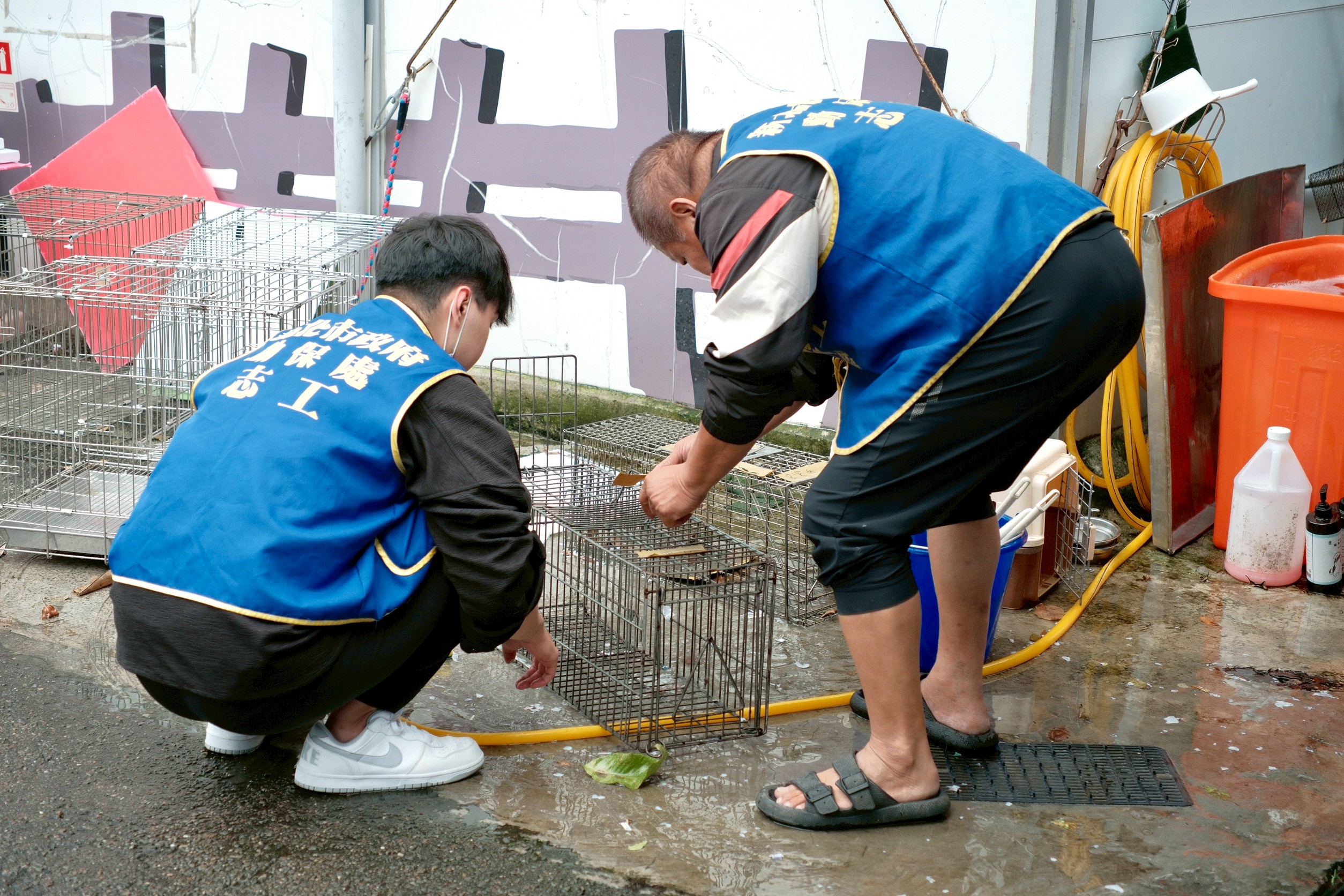 板橋動物之家自民國102年起與新北地檢署合作