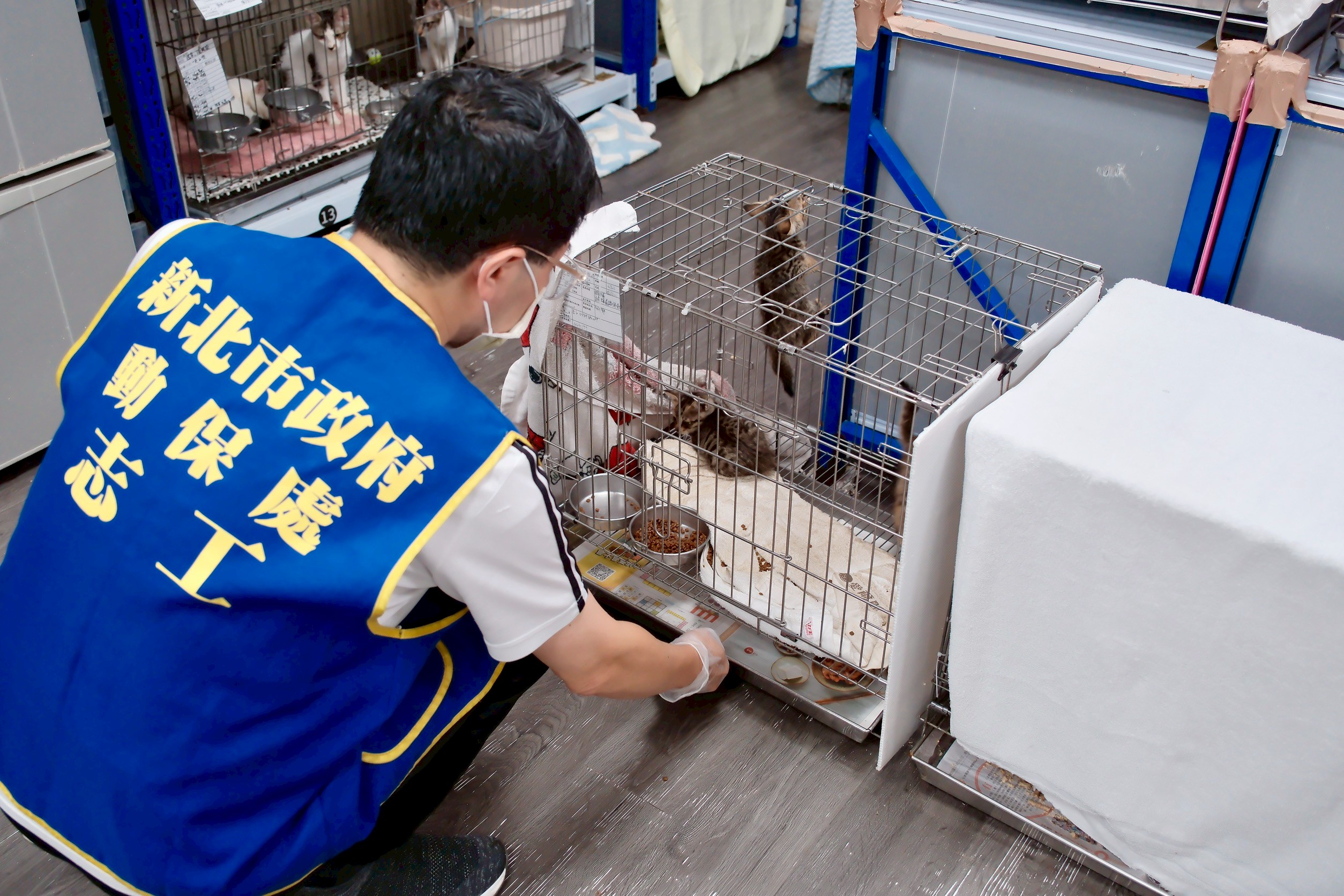 社會勞動人從照護動物過程中學會尊重生命
