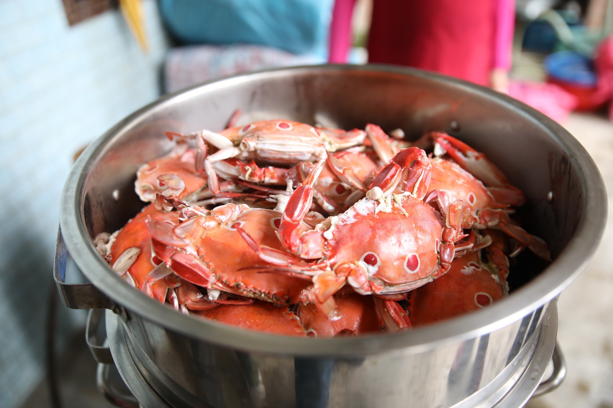 「2025新北海派」呈現當季海蟹料理，透過推廣在地海鮮品牌，展現新北沿海漁港的新鮮美味與地方特色。