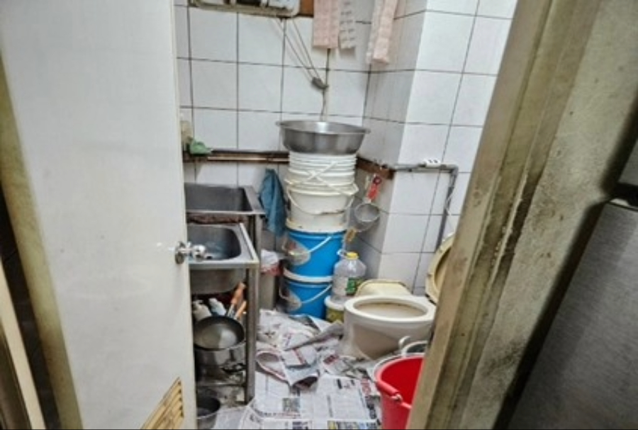  貓隻生活環境髒亂