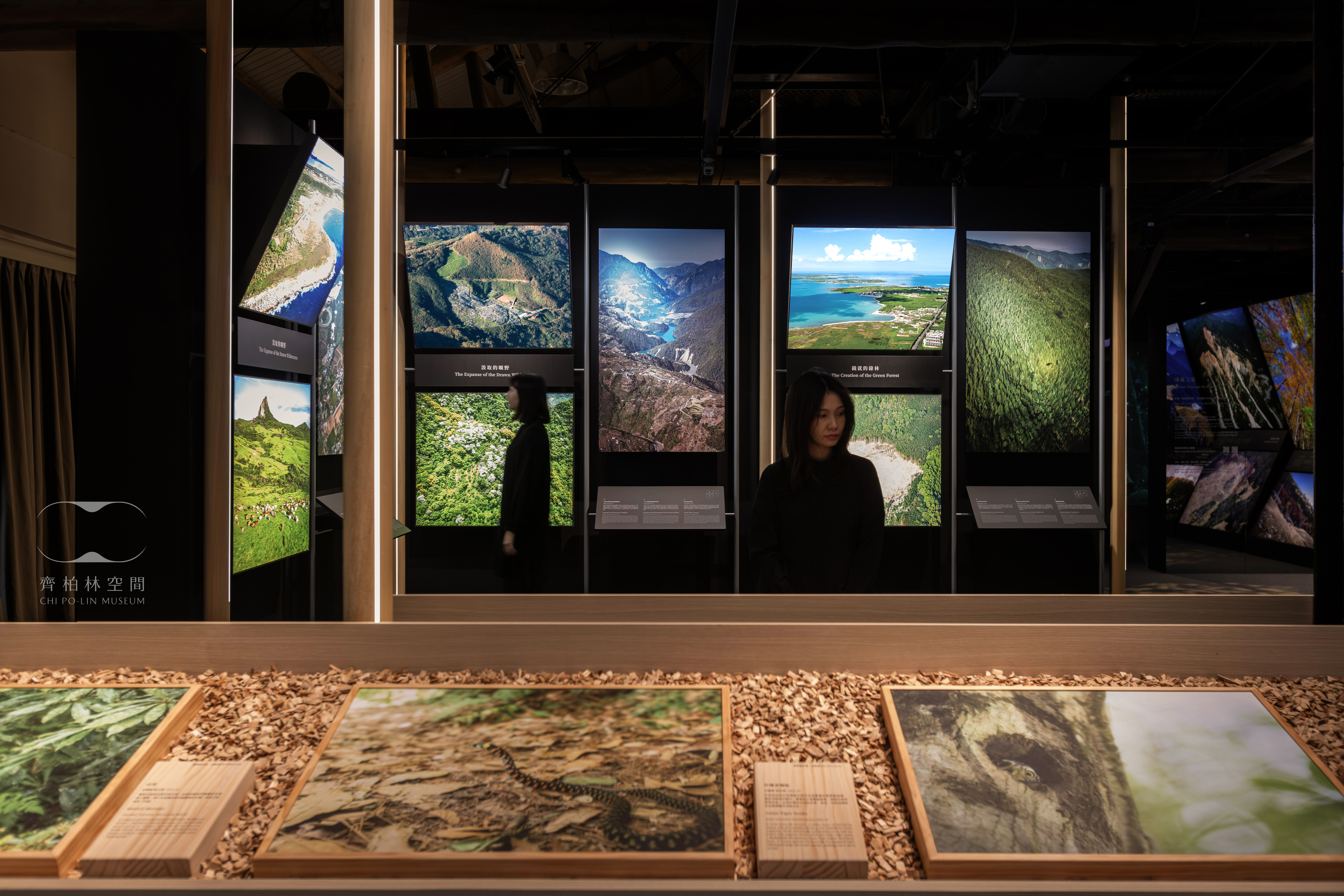 齊柏林基金會推出《共森》，結合香氛、270度環繞投影及互動心理測驗，讓觀眾在感官體驗中認識森林與自我