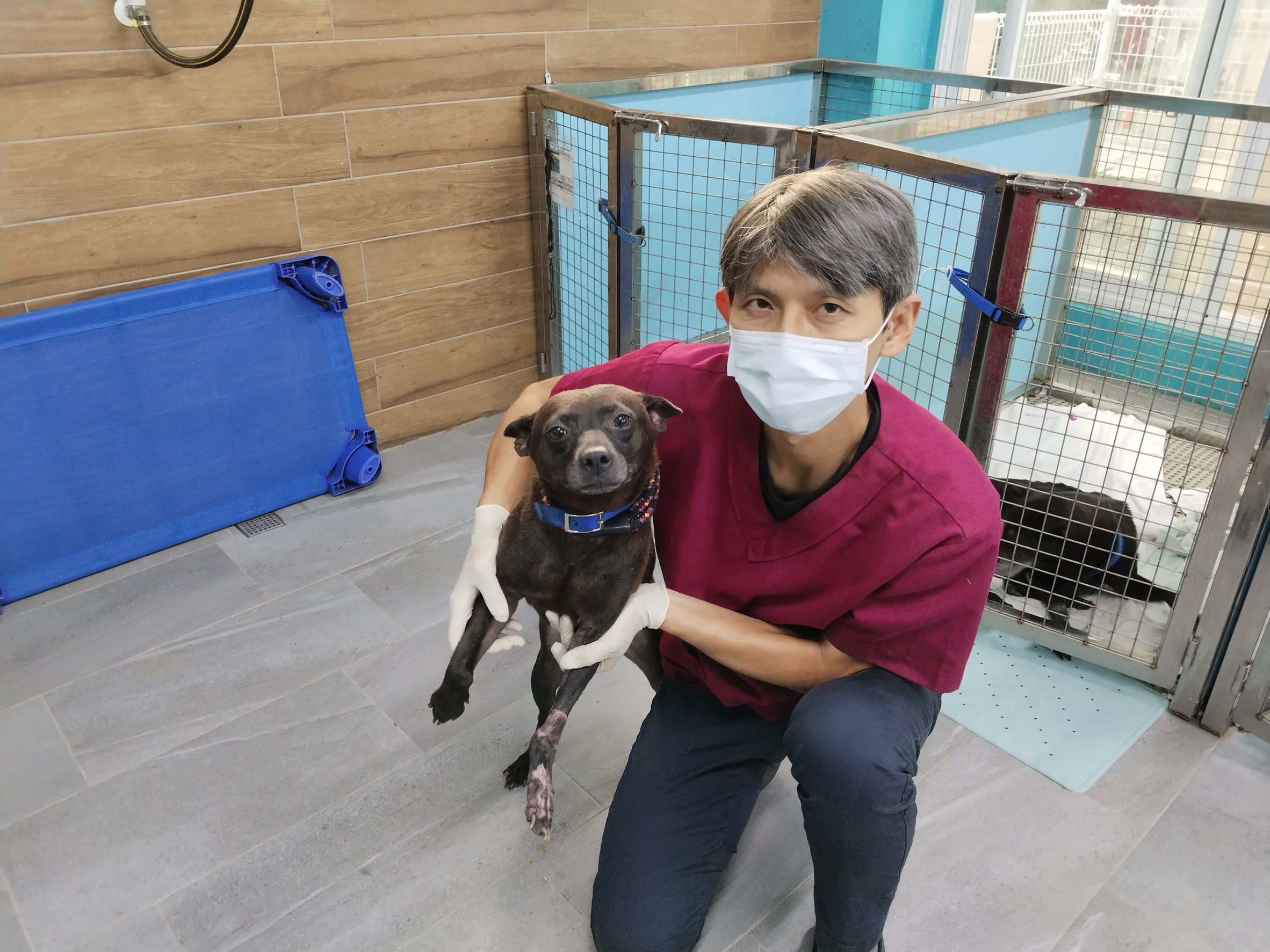 目前「沙拉」已完全康復，開放民眾認養，盼能找到疼愛牠的家人