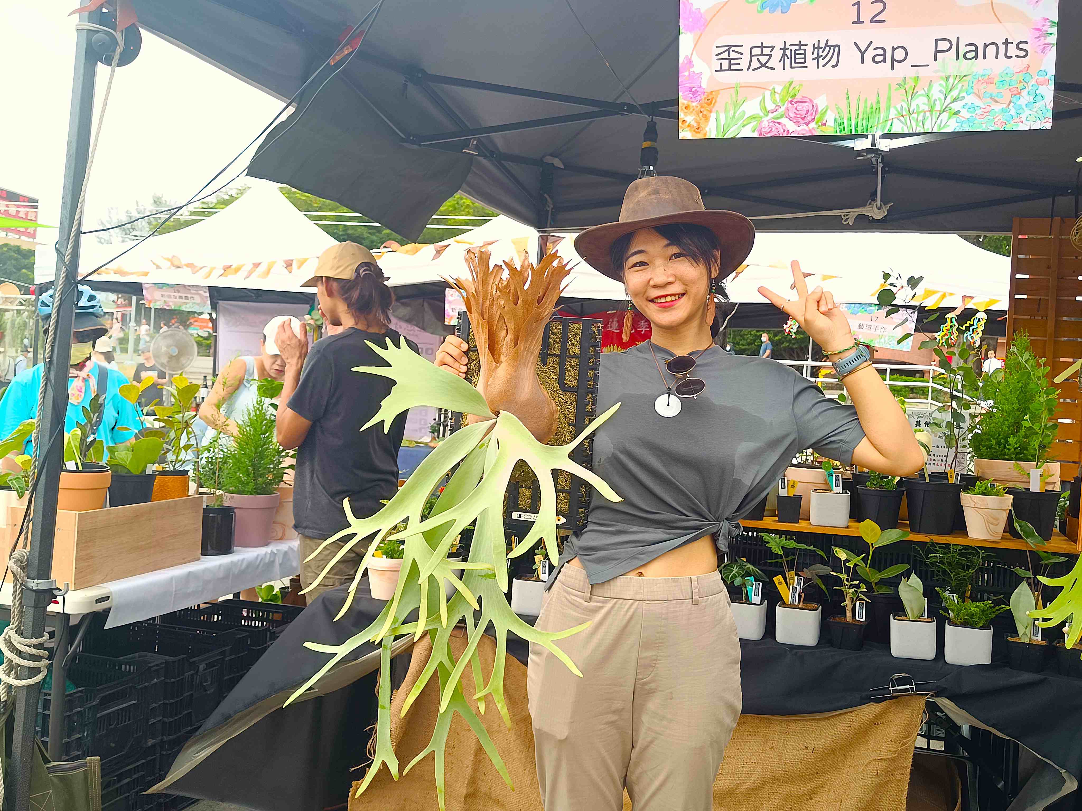 歪皮植物提供各式景觀植物，療育人心(資料照片)