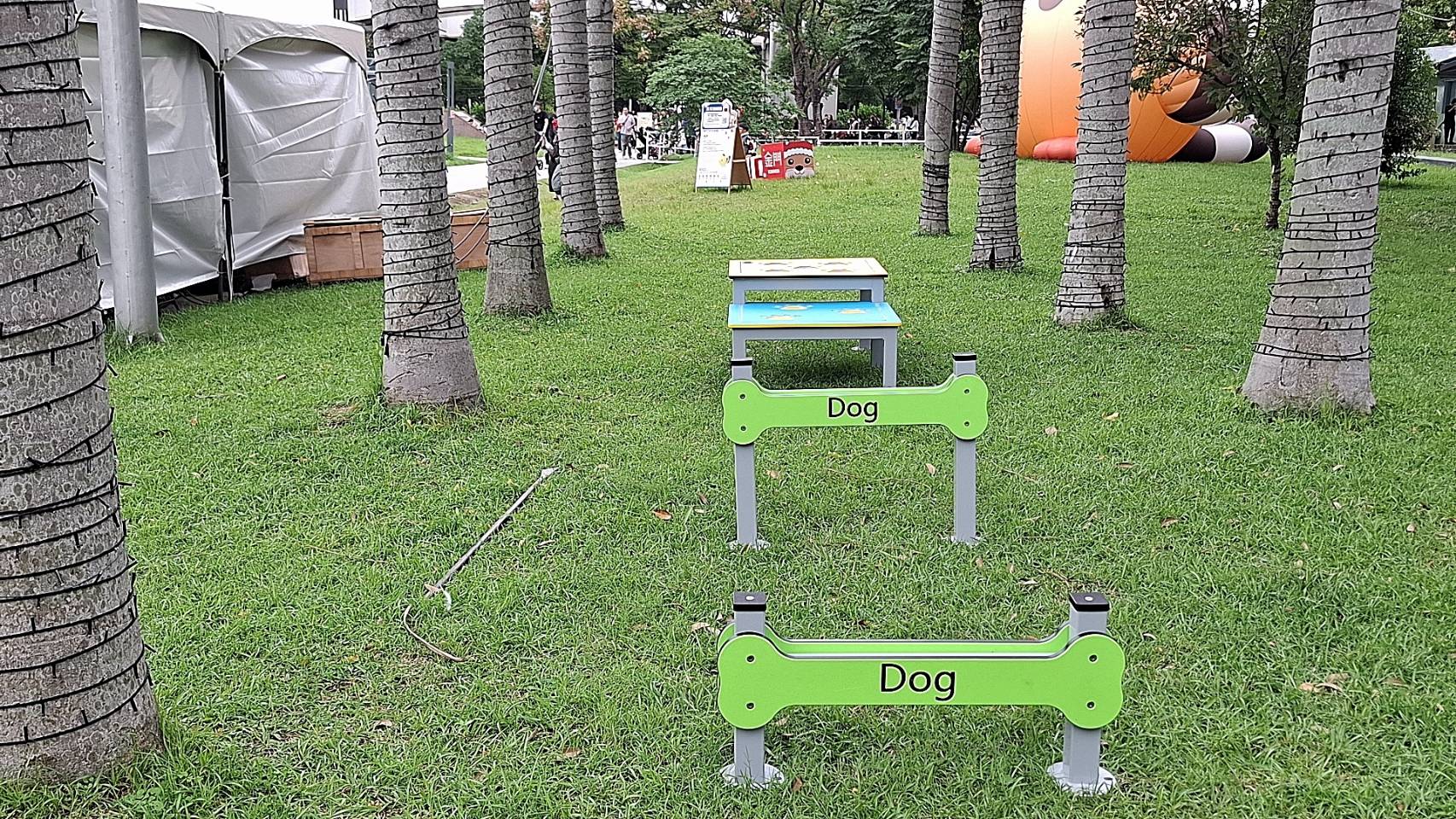 寵物跳桿也非常有趣