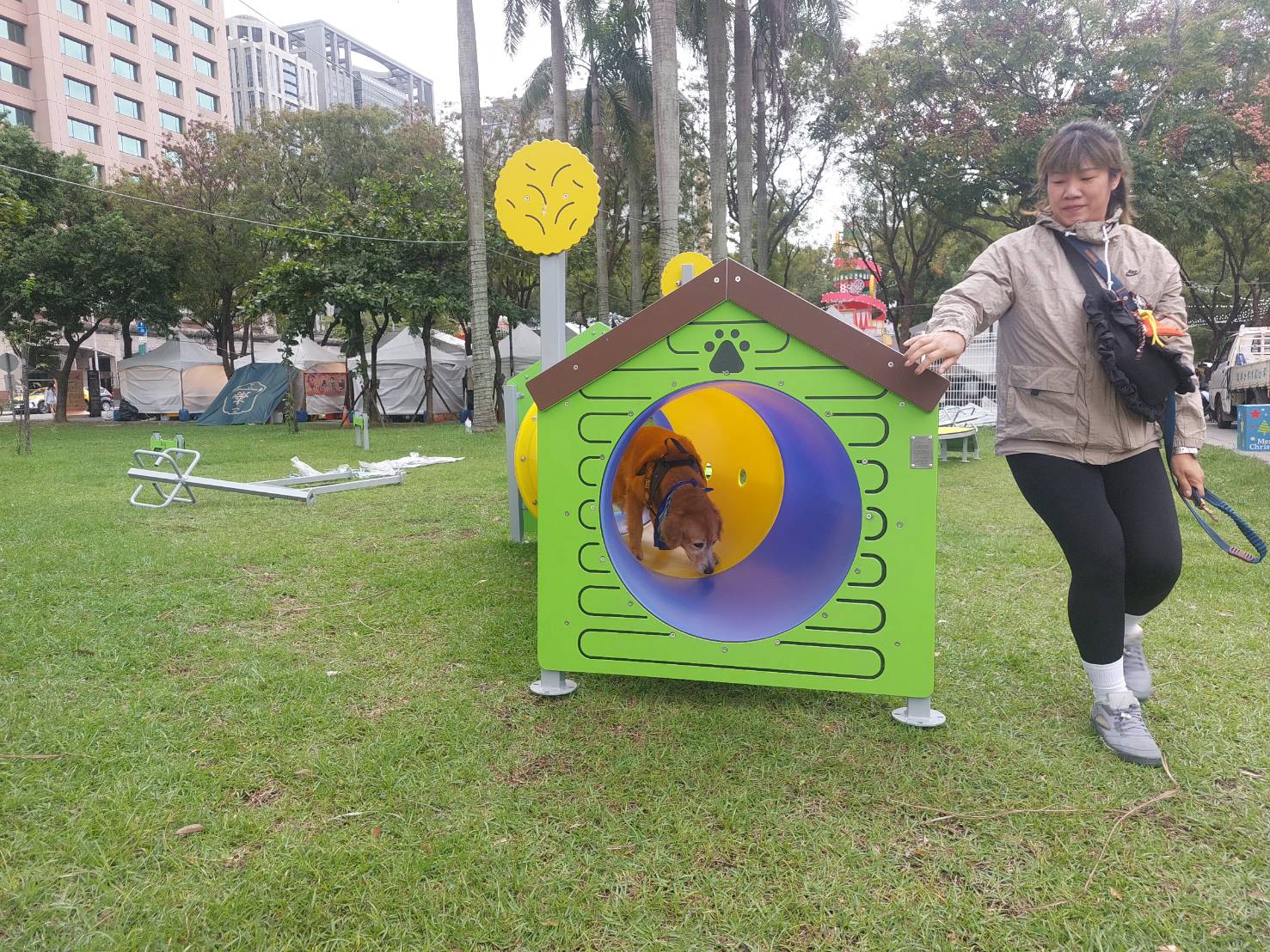 寵物鑽桶，讓毛寶貝玩得不亦樂乎