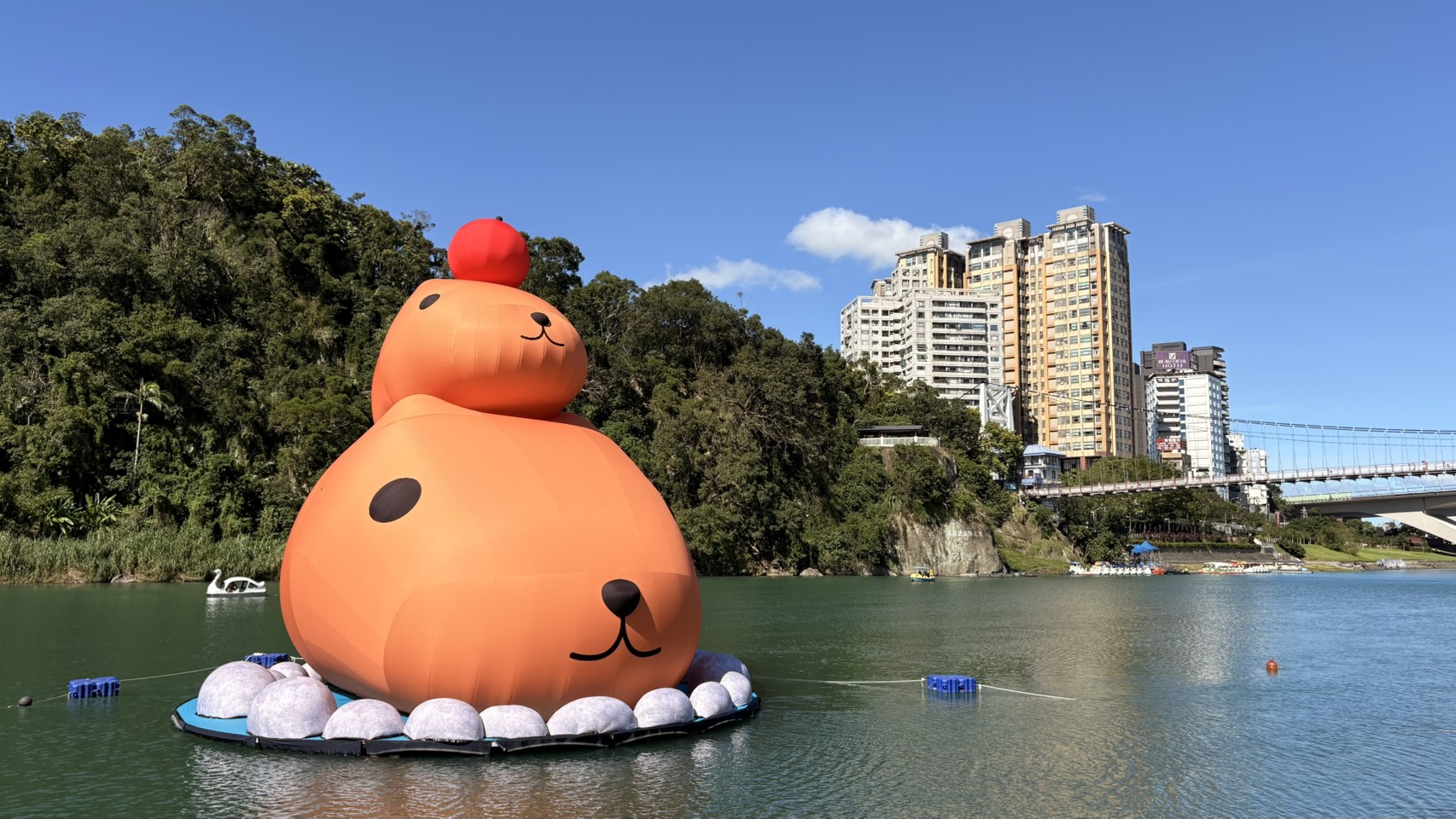  碧潭地景裝置展「呆在碧潭の水豚君」活動展期至12月28日，持續為新店碧潭風景區帶來超高人氣，已成為年末最療癒的打卡熱點。