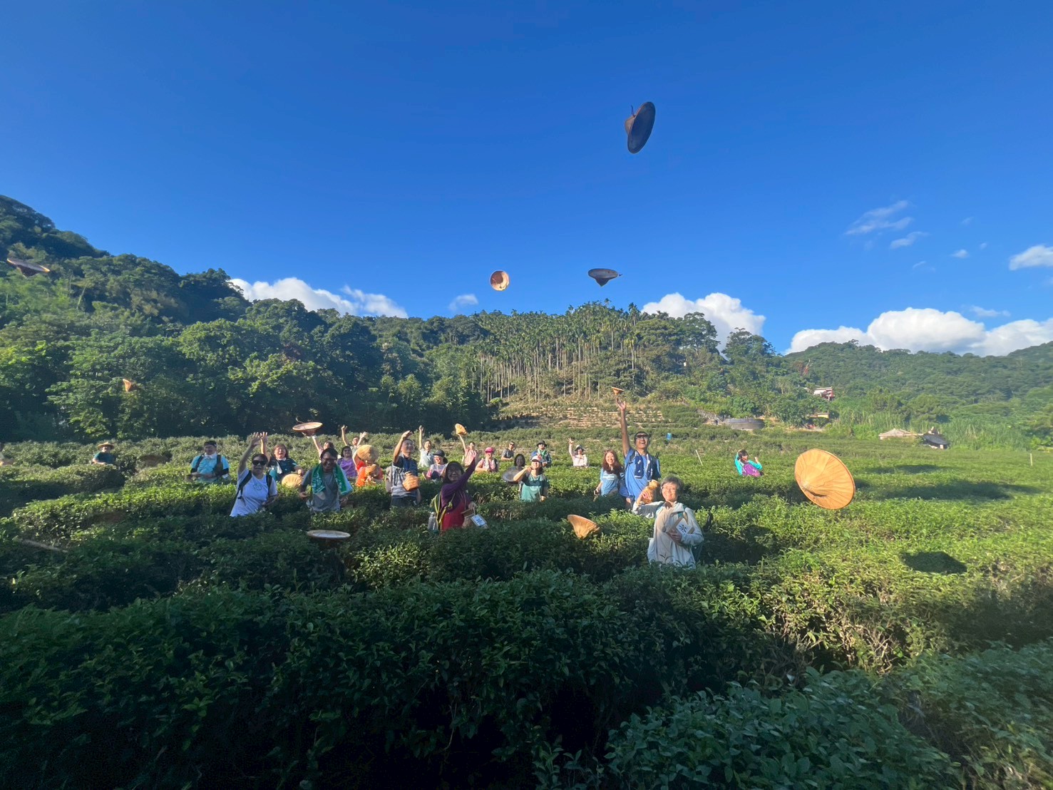  參與者於天芳茶行體驗採茶樂趣，在活動中認識地方茶文化與產業特色。