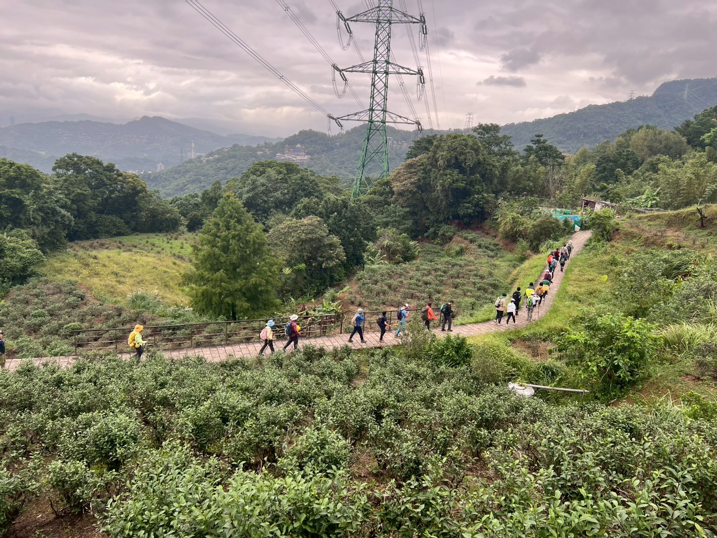  銀河洞越嶺步道路面平整寬敞，適合團體健行與賞景。