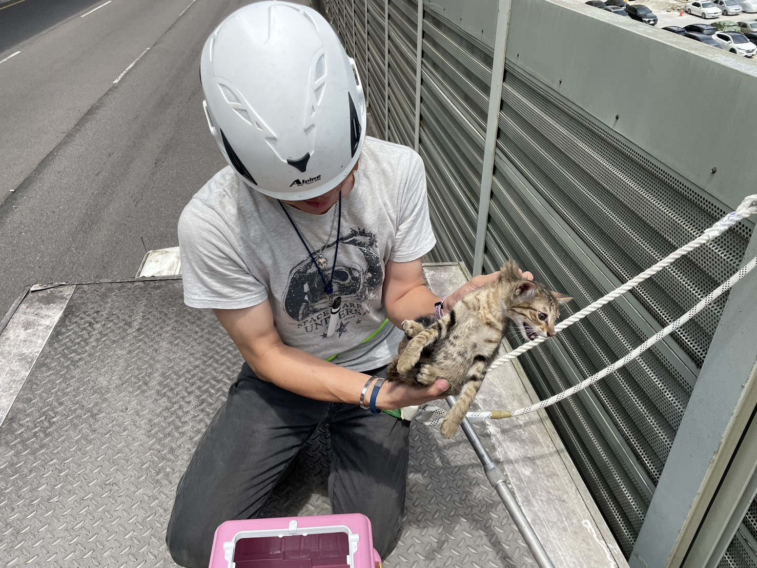 動保處救援動物24小時不間斷