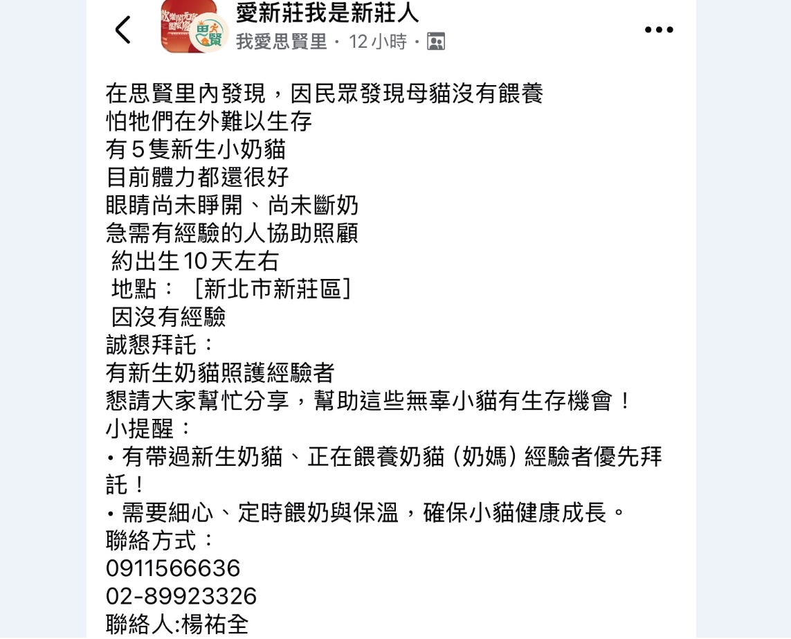 熱心里長幫忙找人照顧小貓