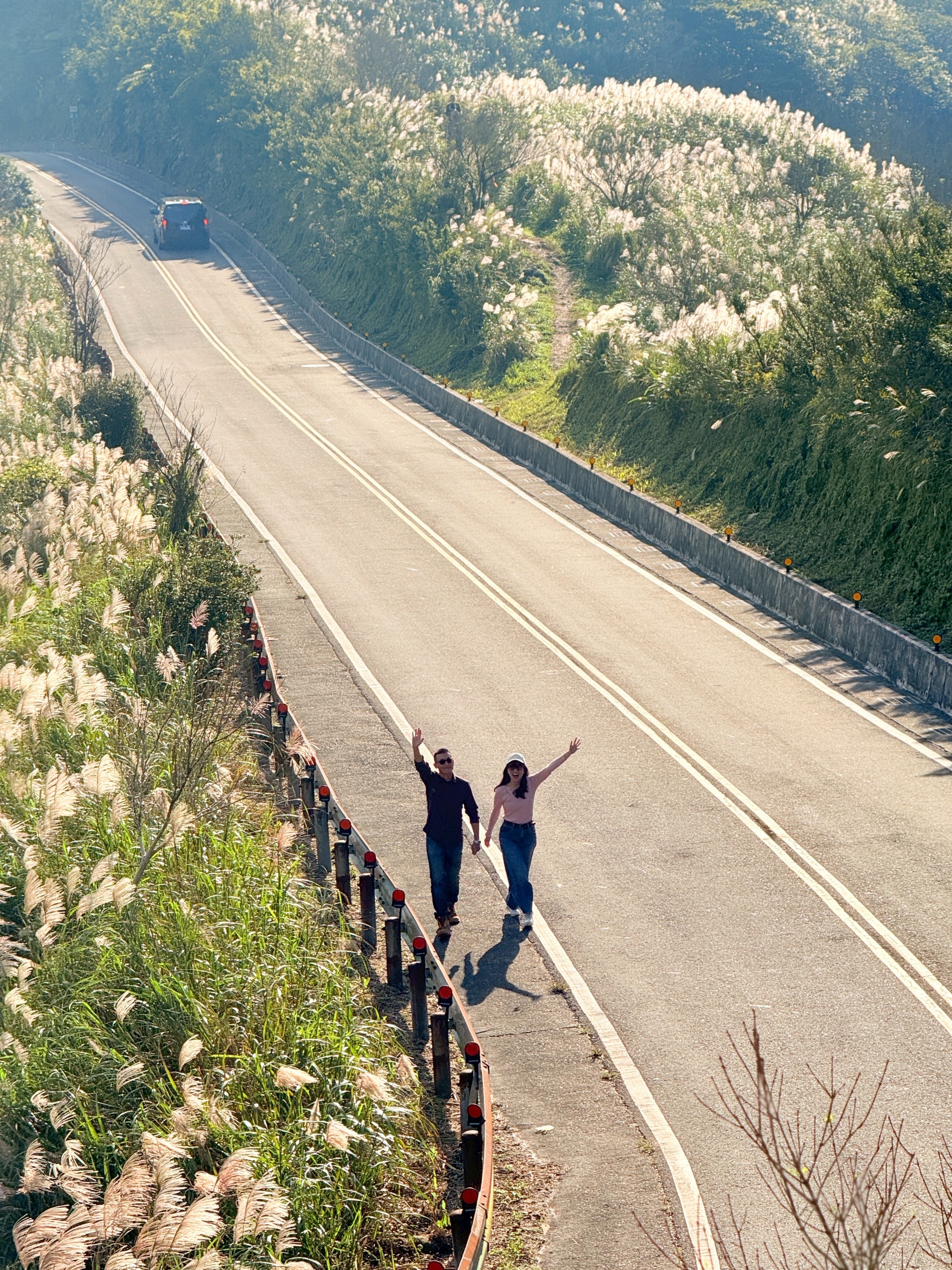 瑞芳不厭亭為社群熱門打卡景點，因平日人車不多而有「寂寞公路」之稱，這裡的芒花盛開於山坡隨風搖曳