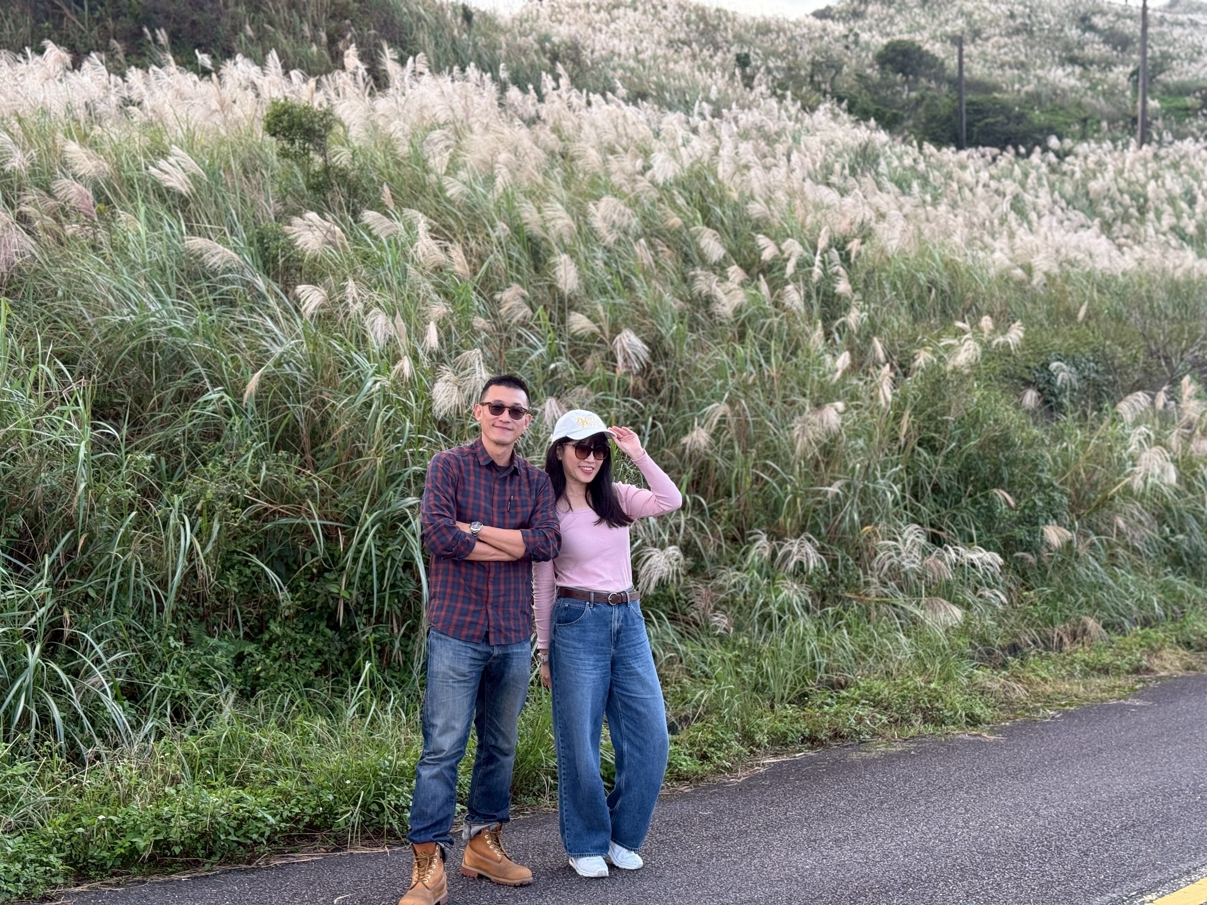 瑞芳五分山的芒草花穗盛開後形成一片片閃耀著白色或金色的景觀，如「海浪」般覆蓋山頭，美不勝收