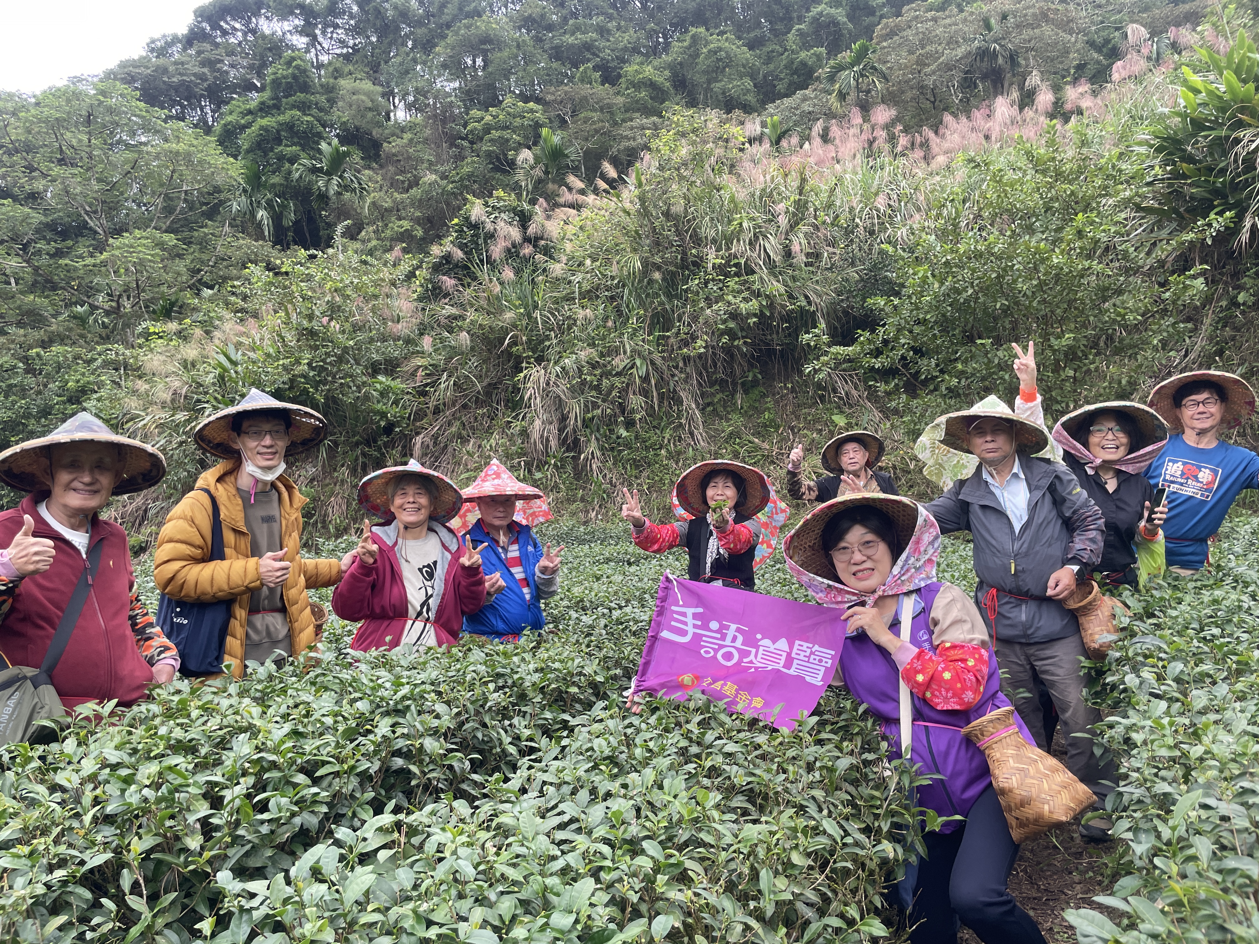 「茶山手語導覽」活動透過走訪茶園的設計，讓聽障朋友能以多重感官體驗茶文化
