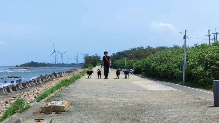 狗狗帶出訓練穩定度