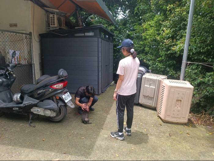 對狗狗輕聲口頭稱讚