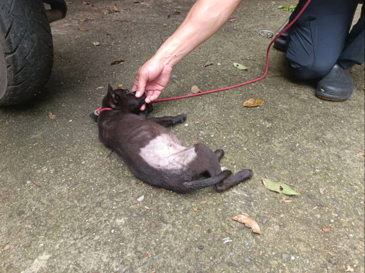 漸漸變得親人卸下心防