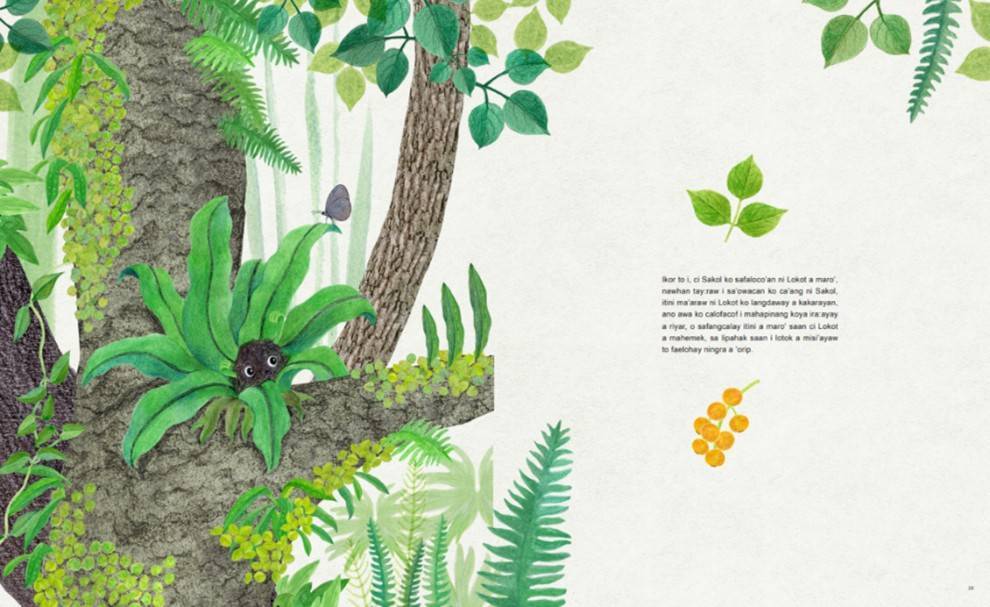 ▲圖為本年度新北市原民局出版之族語繪本－樹上的魚《Lokot 鳥巢蕨》海岸阿美語版。(圖/新北市政府原民局提供)