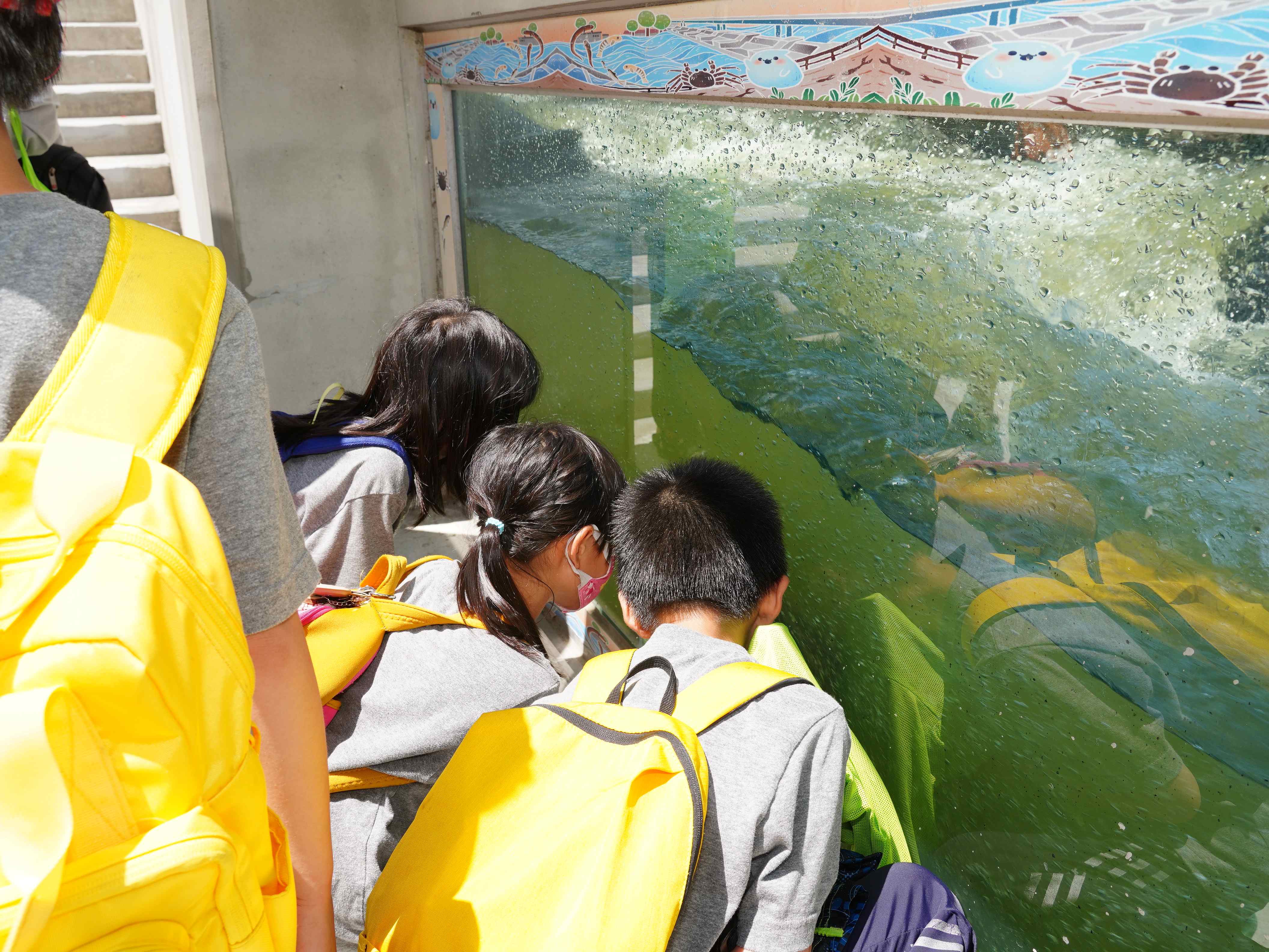  碧潭堰魚道洄游生物特展將有專業講師深度解說碧潭堰周遭環圈