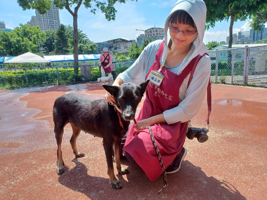  板橋志工隊長對米克斯犬隻特別有愛，課程中與毛寶貝親密互動，用心照護每一條生命。