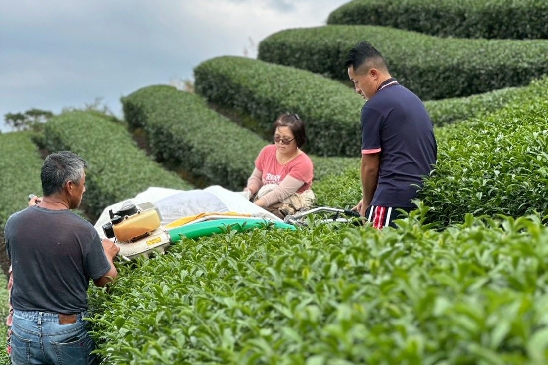 特等獎得主葉文鵬茶園由第3代的葉文鵬(左)、林素慧(中)夫婦與第4代葉承軒(右)共同經營