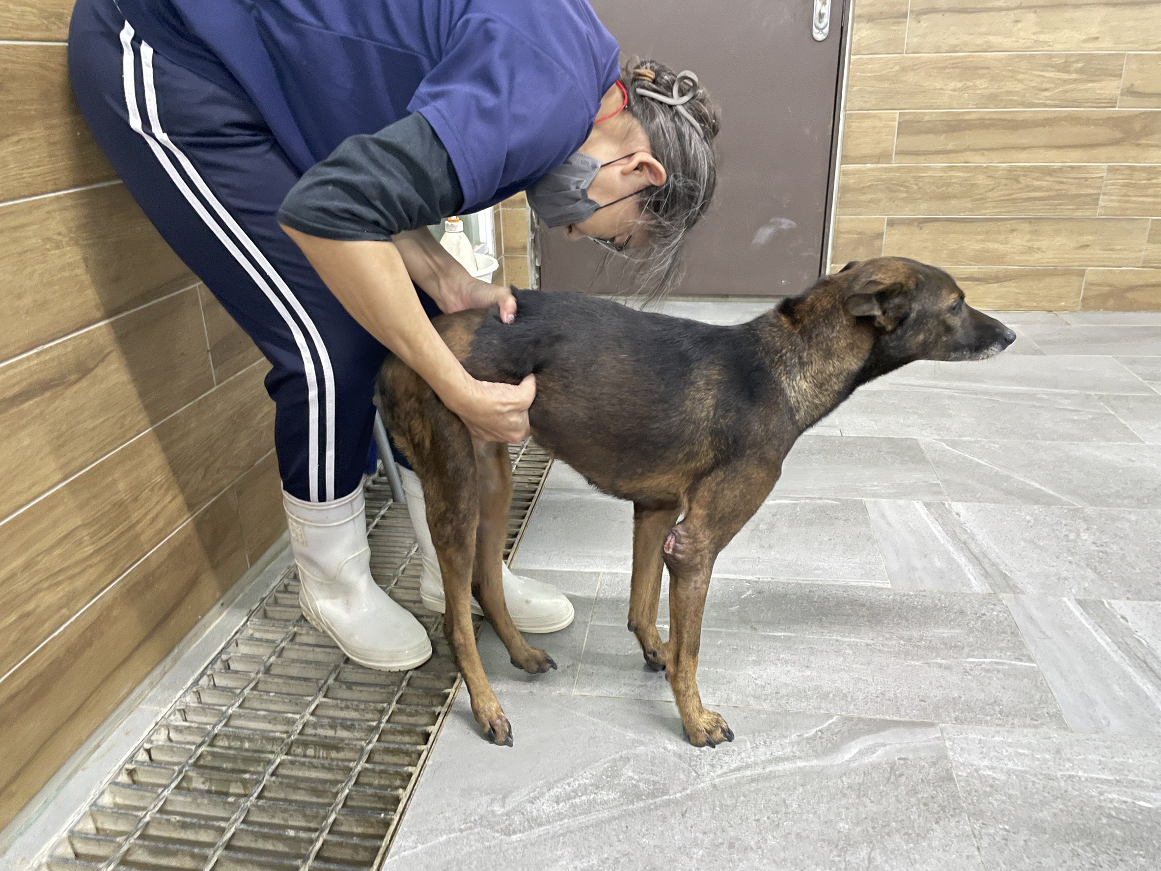 圖片來源:新北市政府