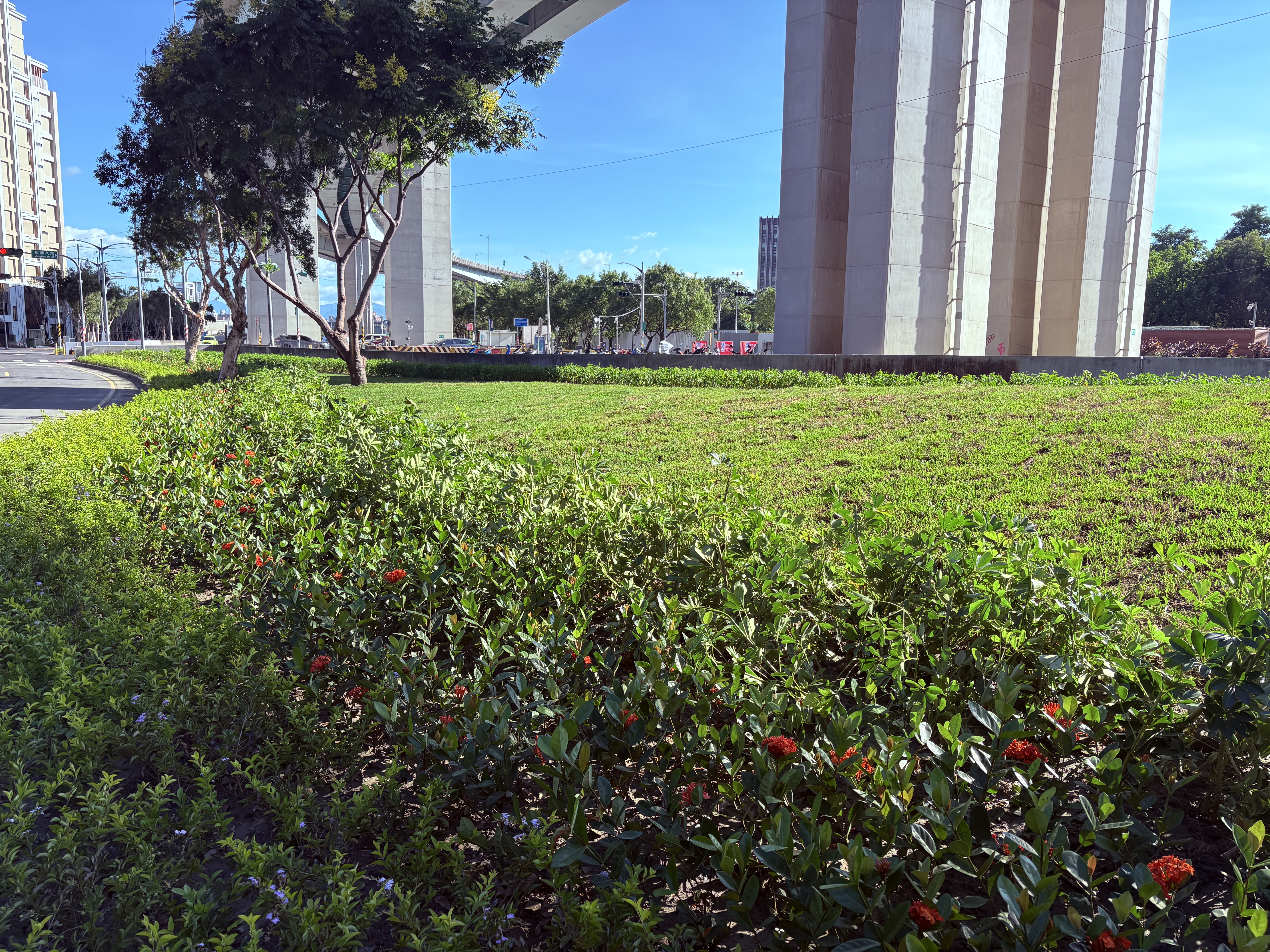 透過跨局處與地方合作，利用當地地形特性結合綠美學規劃設計，為五股帶來更多「綠」動感