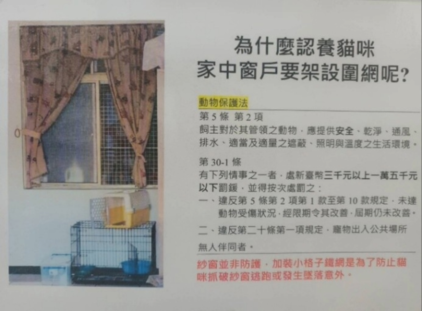  認養貓咪家中窗戶架設防護網原因