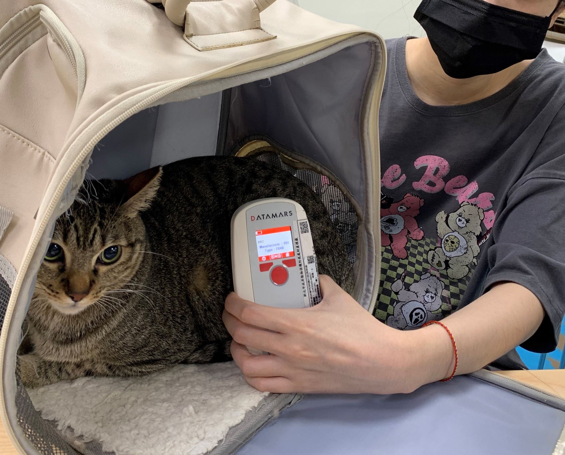  寵物植入晶片完成寵物登記後，就不怕走失回不了家