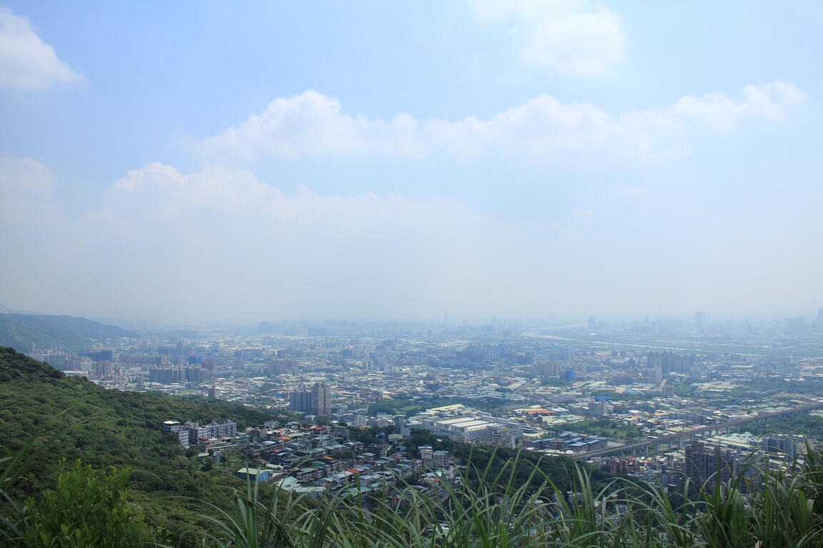 從青龍嶺遠眺，可俯瞰整個樹林區的城市景觀。