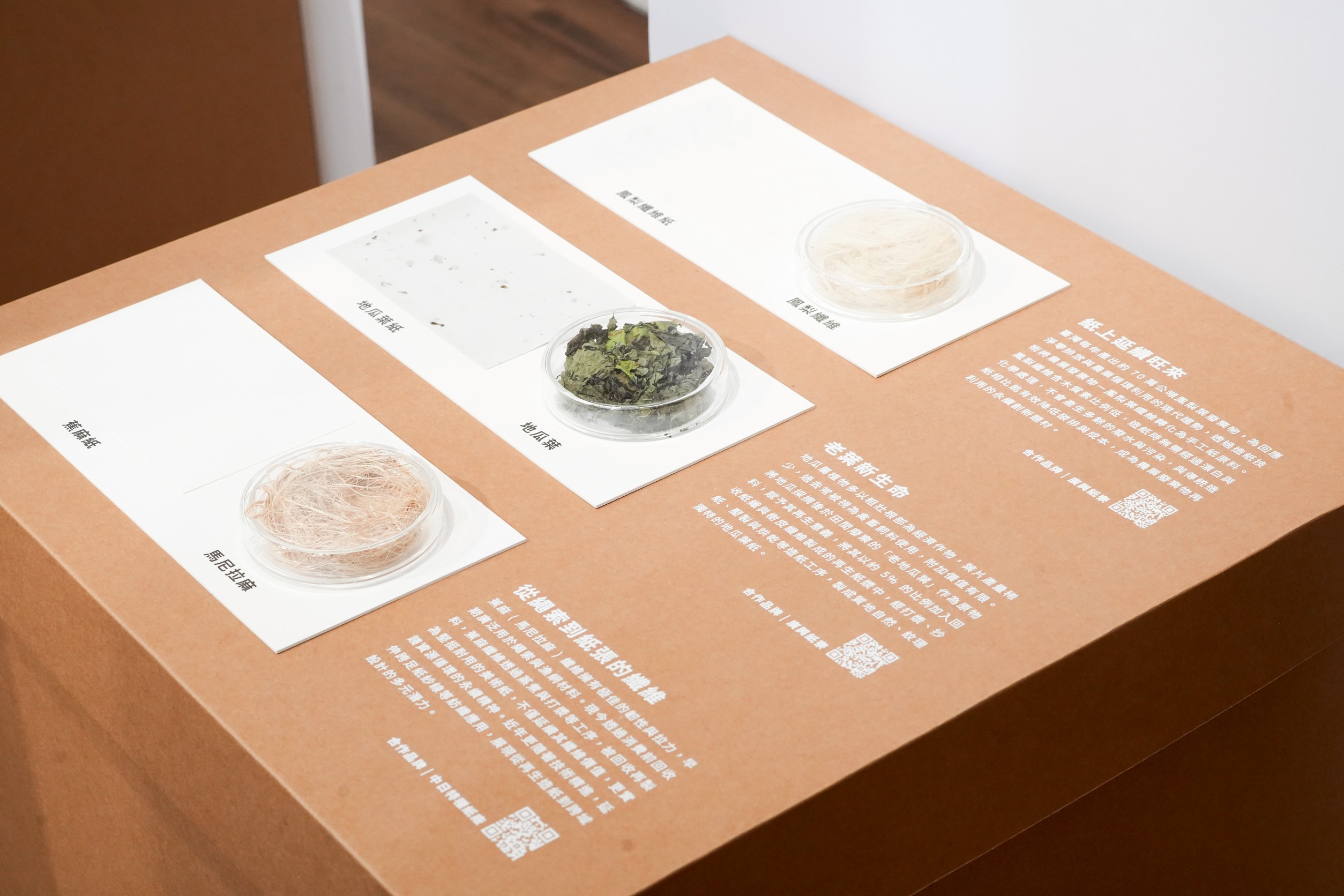 「永續紙造所」打造六大主題展區，展示超過三十種紙材，展期至明(115)年2月27日。