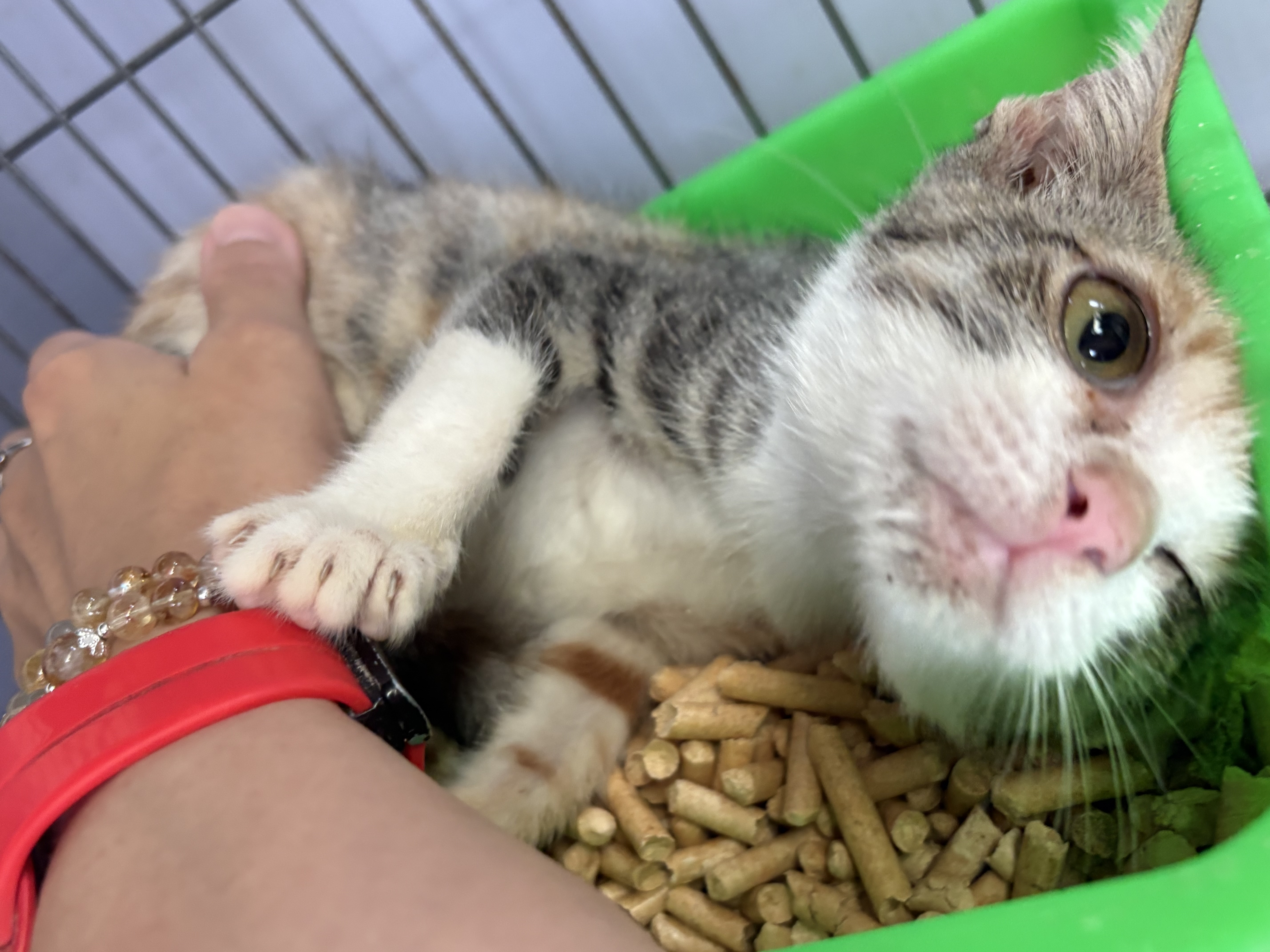  喜歡與民眾互動