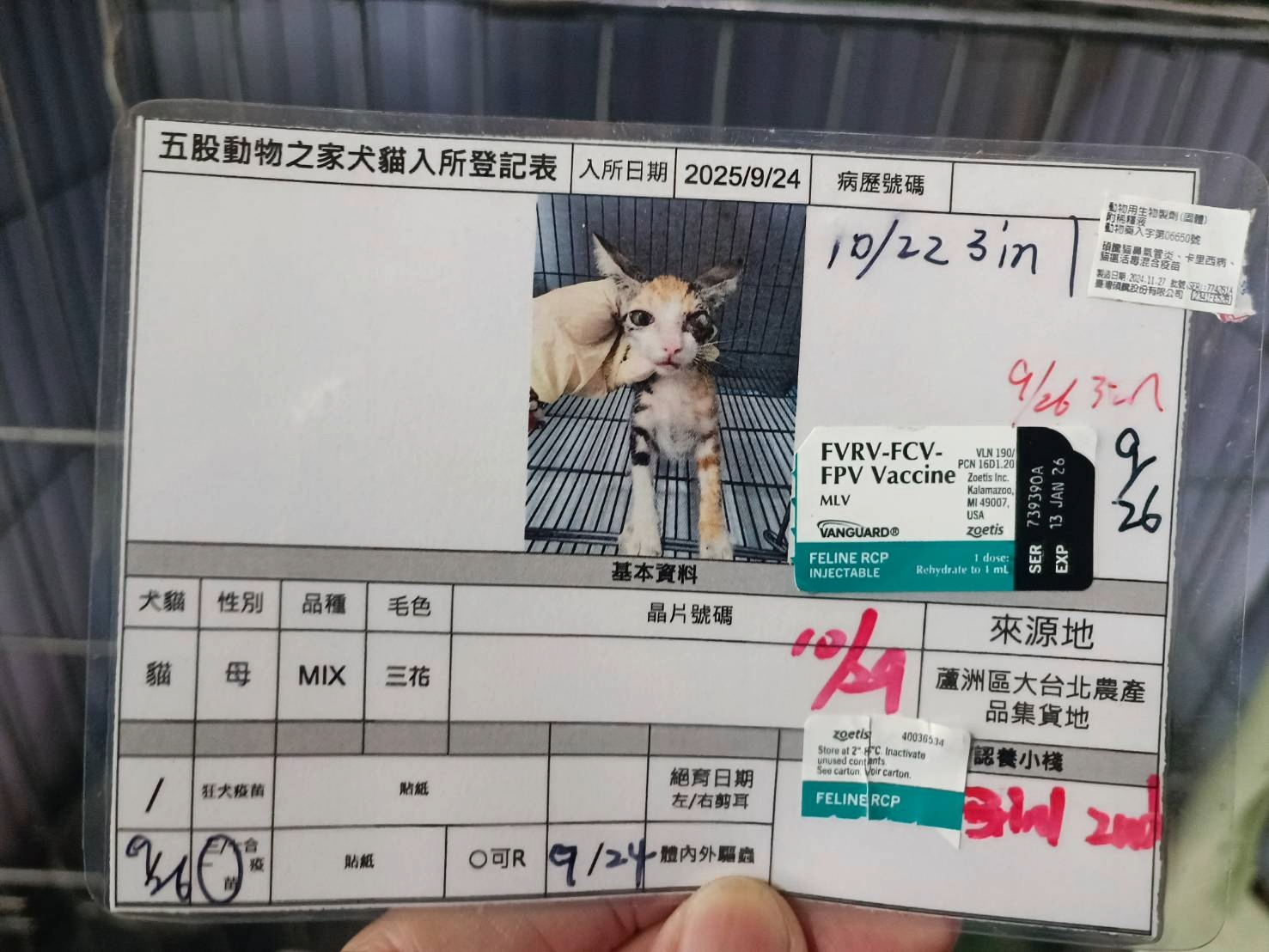  等待一個幸福的家