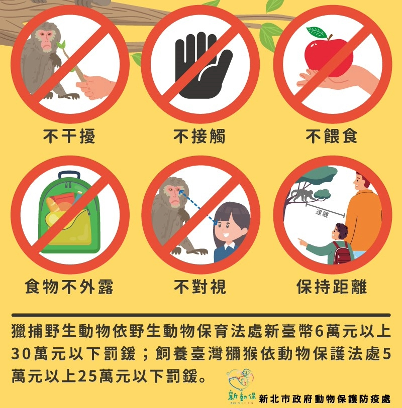  獼猴出沒應注意原則及要點