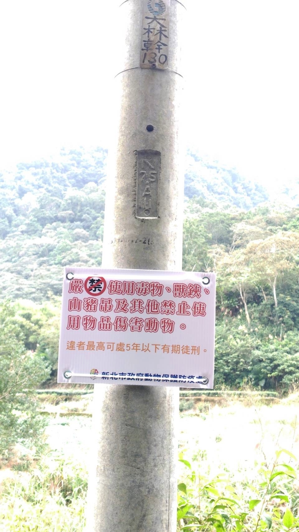 嚴禁使用傷害動物陷阱及藥物公告