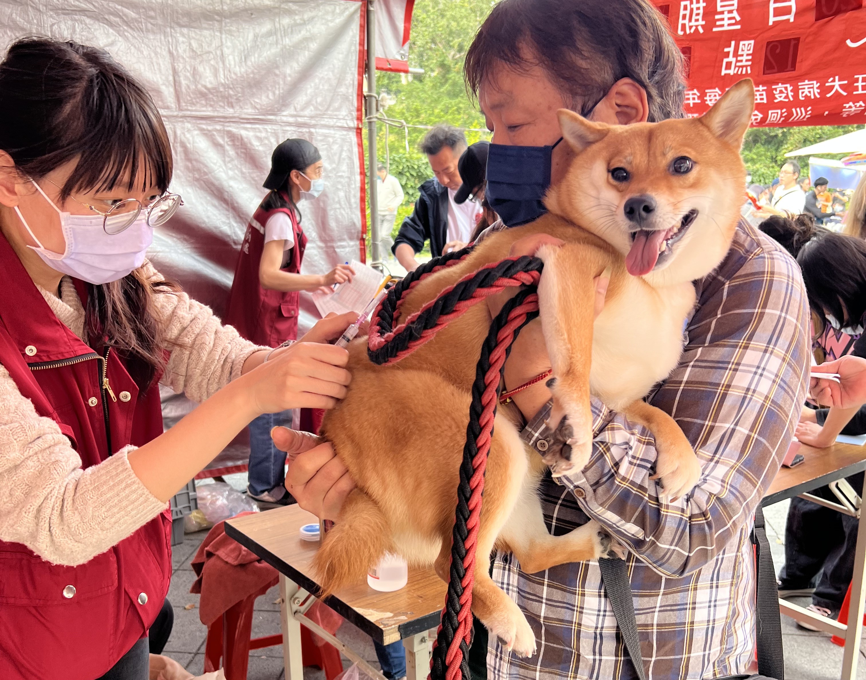 每年定期健康檢查，遵從獸醫師指示補強疫苗