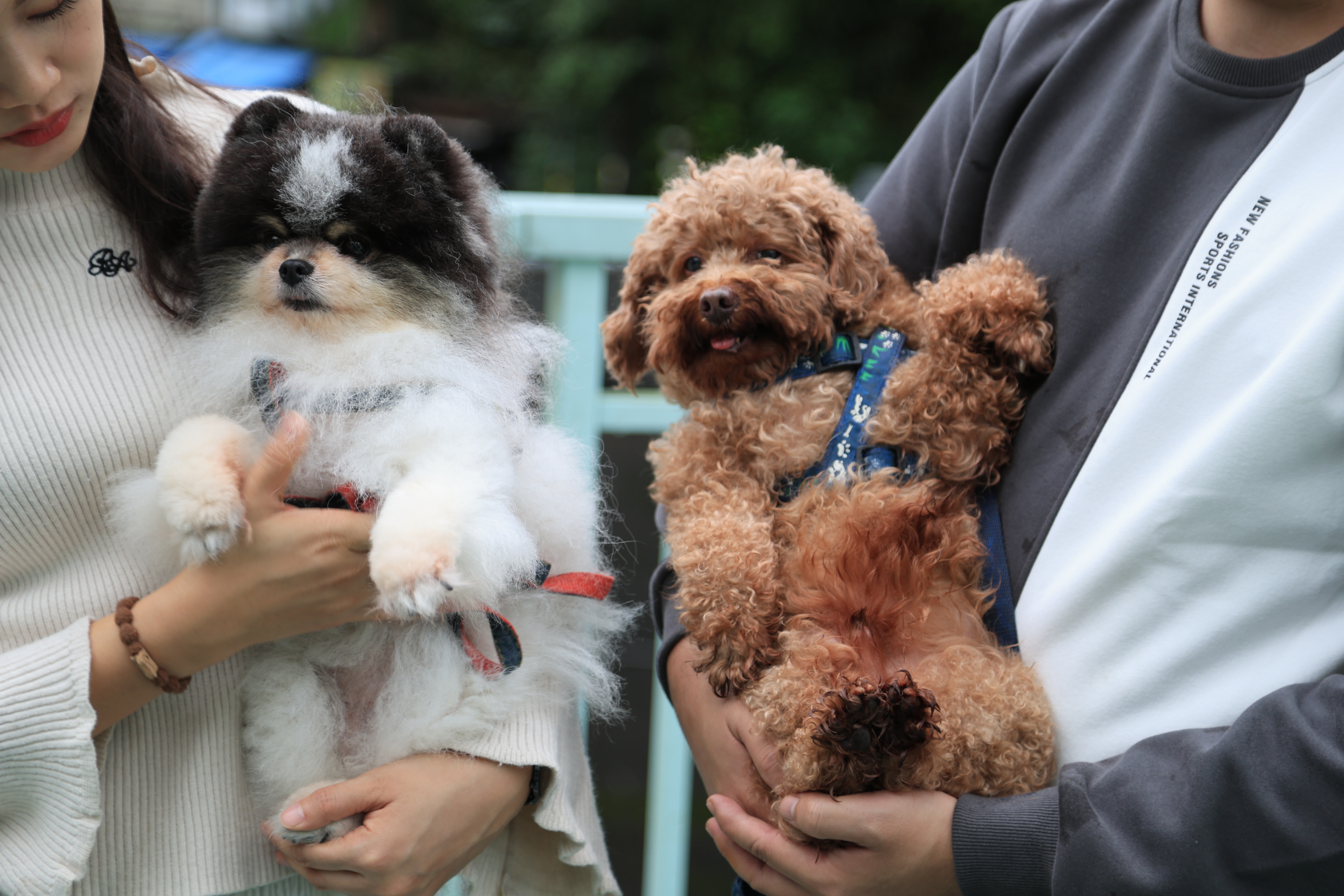  打造寶貝黃金免疫力