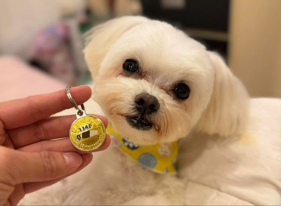  即日起至12月31日帶毛寶貝施打狂犬病疫苗並於臉書粉絲專頁完成指定任務即可抽新北幣500點