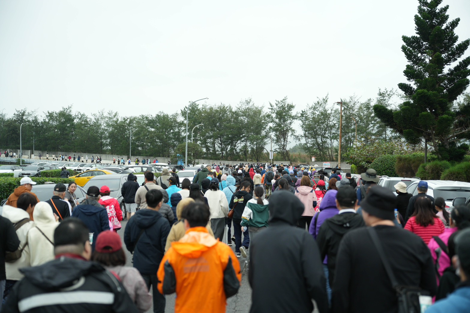 美麗金山走跑活動出發GOGO