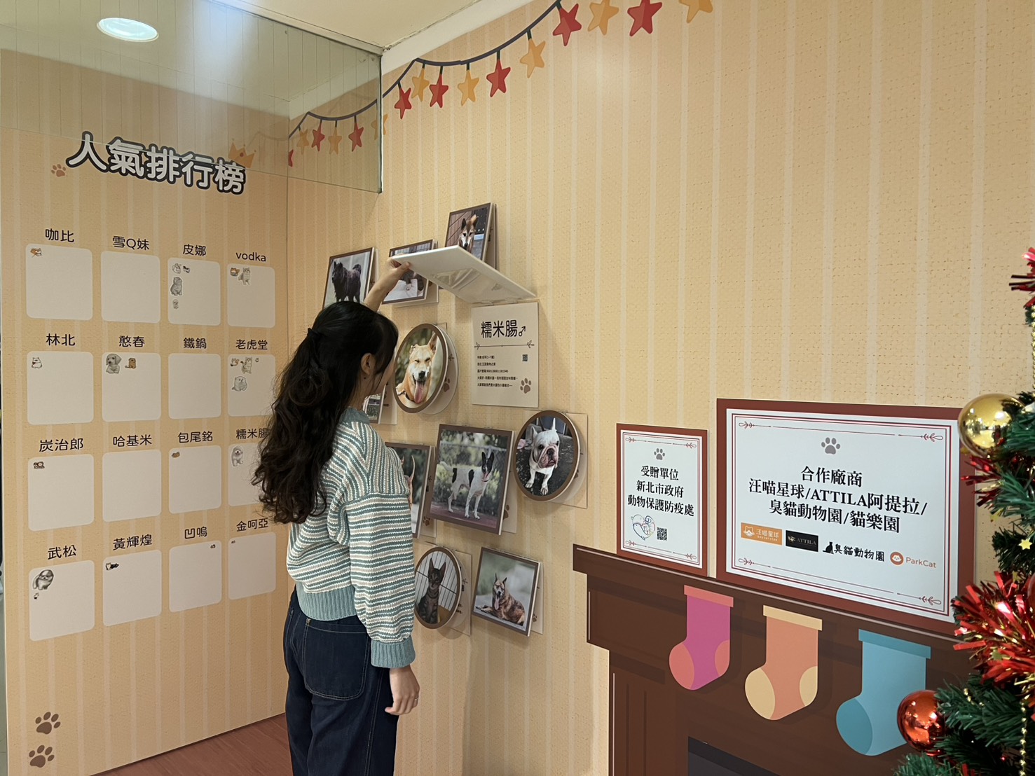  會員陳小姐翻看毛寶貝資料