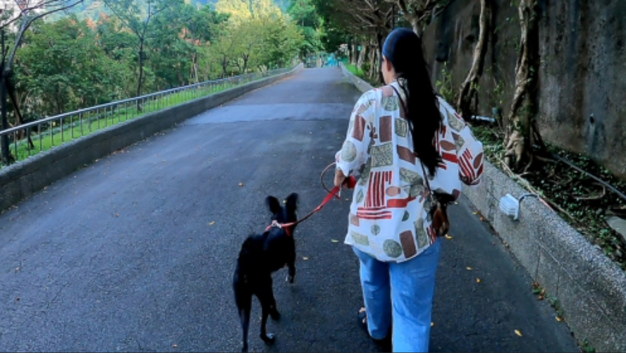  訓練師教導減敏先至安靜無人干擾戶外練習