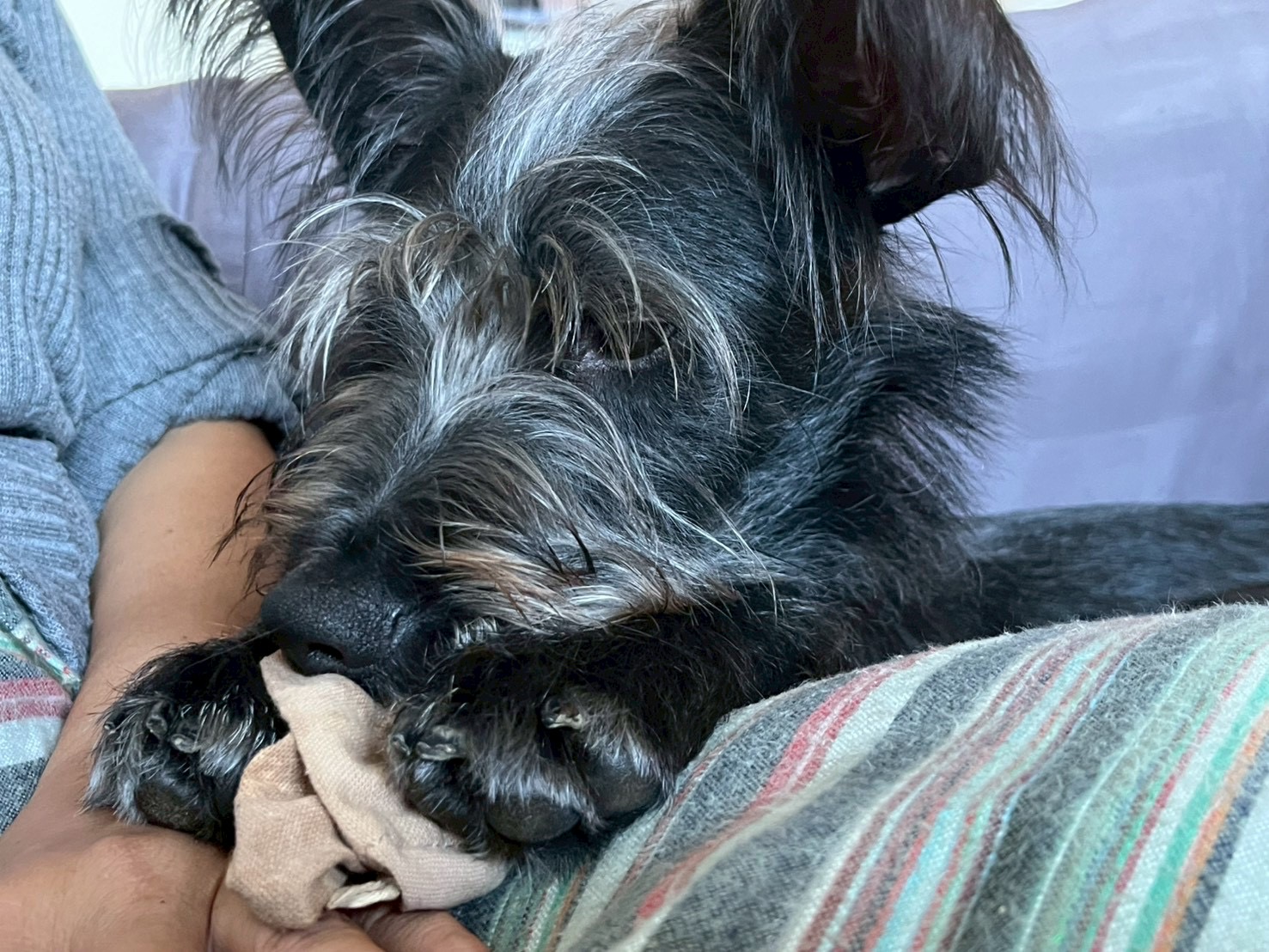  最愛窩媽媽身上撒嬌