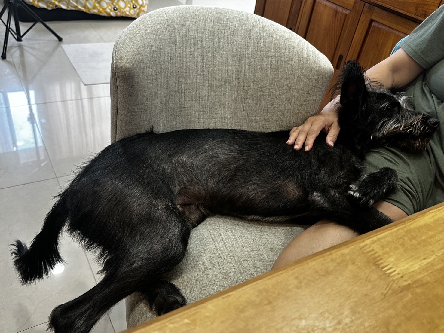  最愛窩媽媽身上撒嬌了