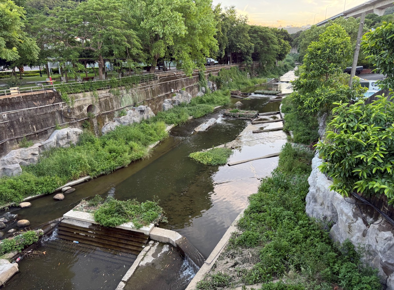 大窠坑溪水環境造工程(第2期)，河中島成為生物過渡棲地，也分隔河川水域流速區