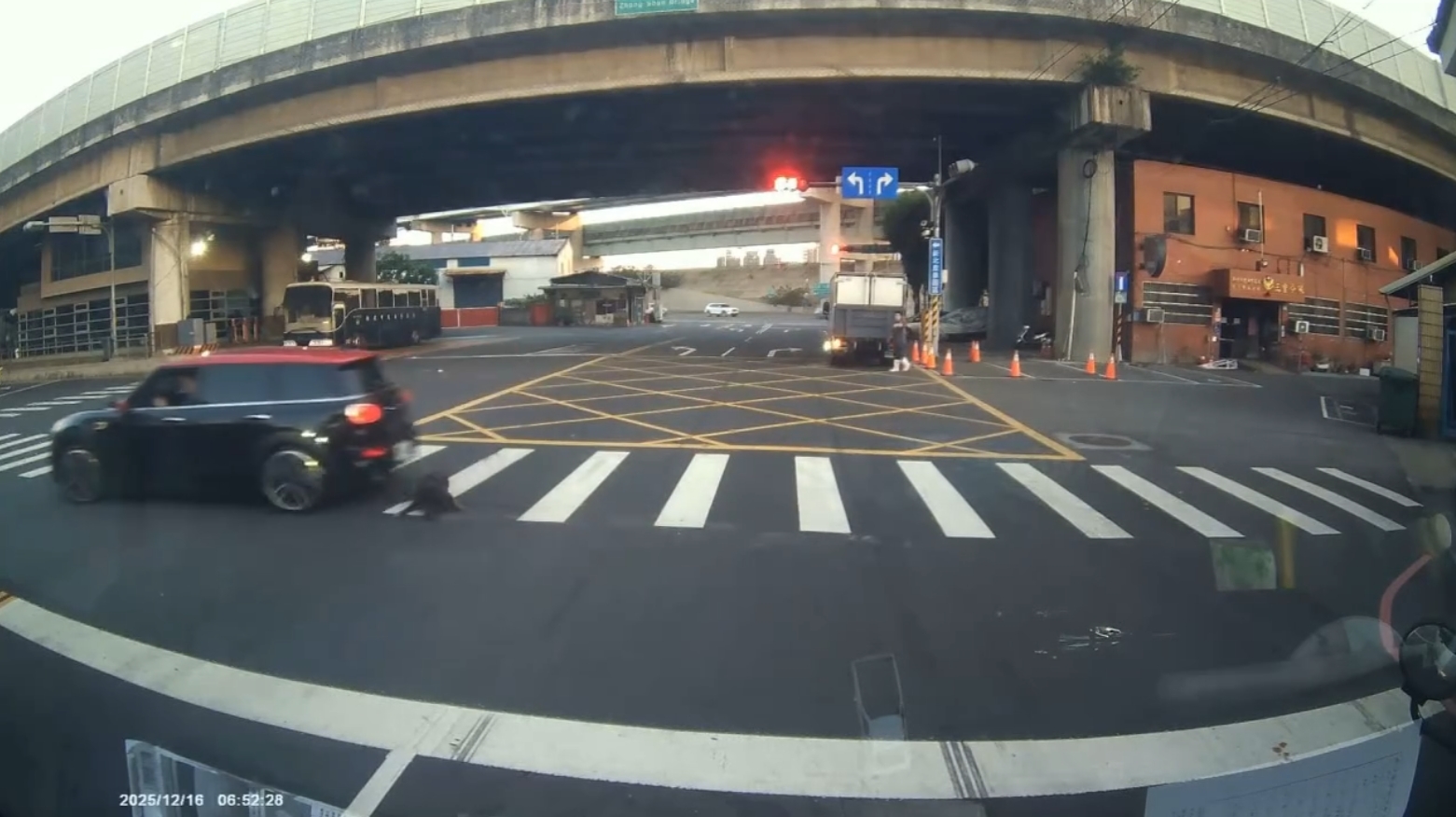  車子輾過犬隻影像截圖4