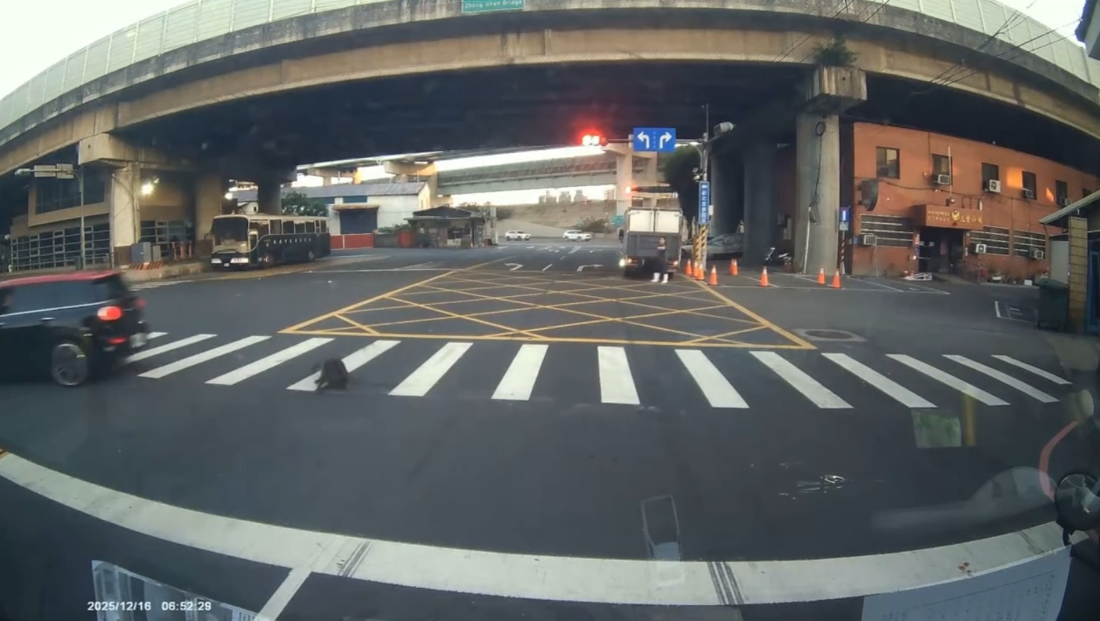  車子輾過犬隻影像截圖5