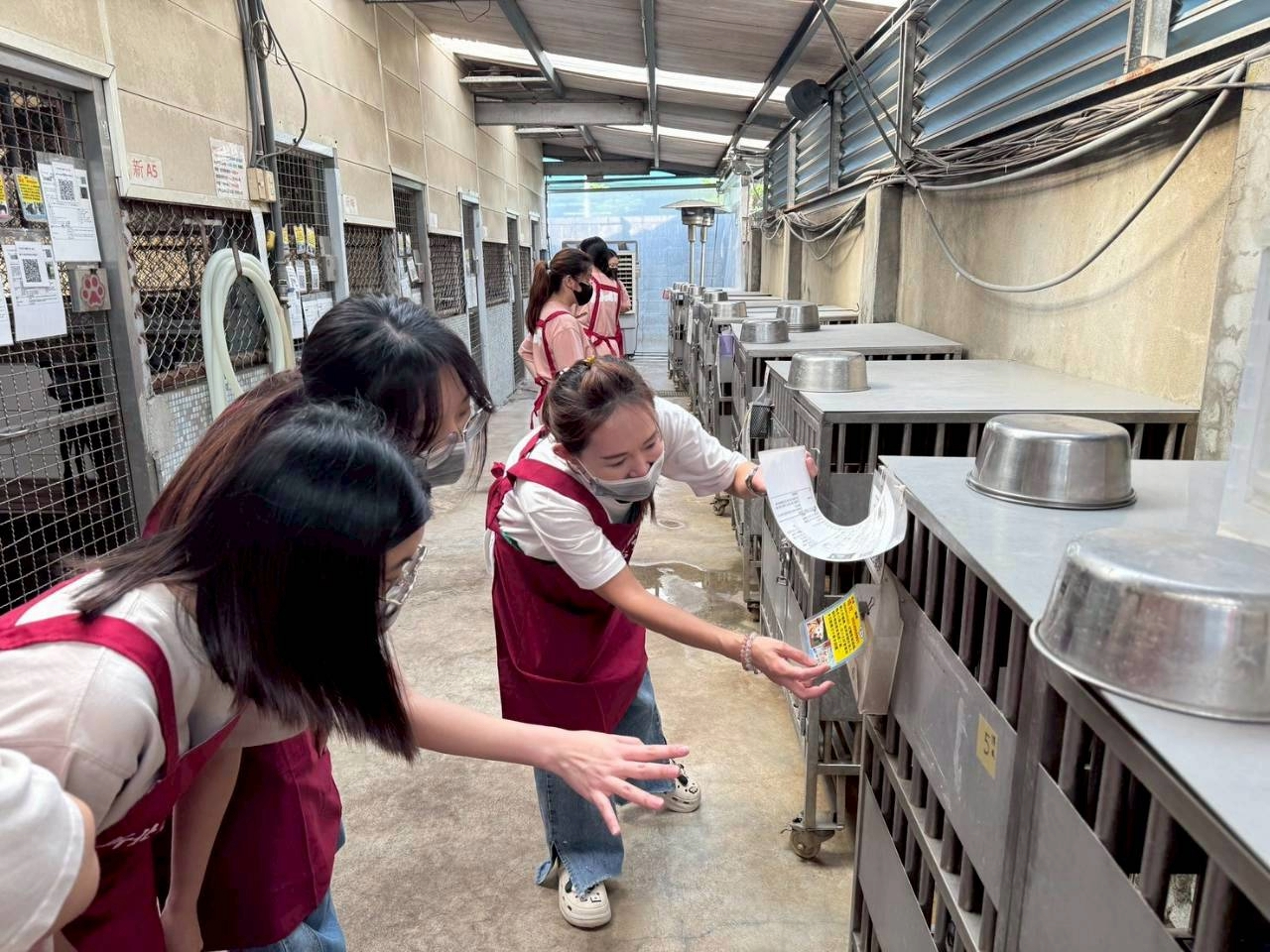  同學們到犬舍參觀，了解動物之家運作