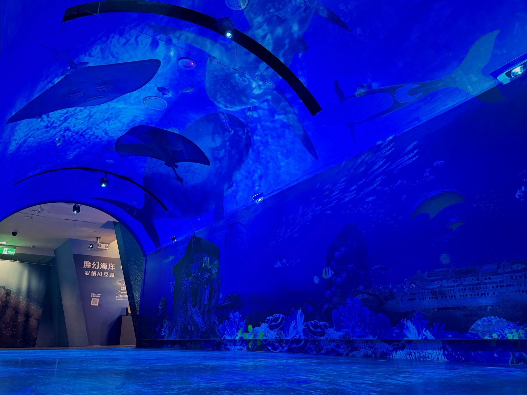 長達15米的「沈浸式海底隧道」運用無接縫投影技術重現沉船遺址魚群動態。.j