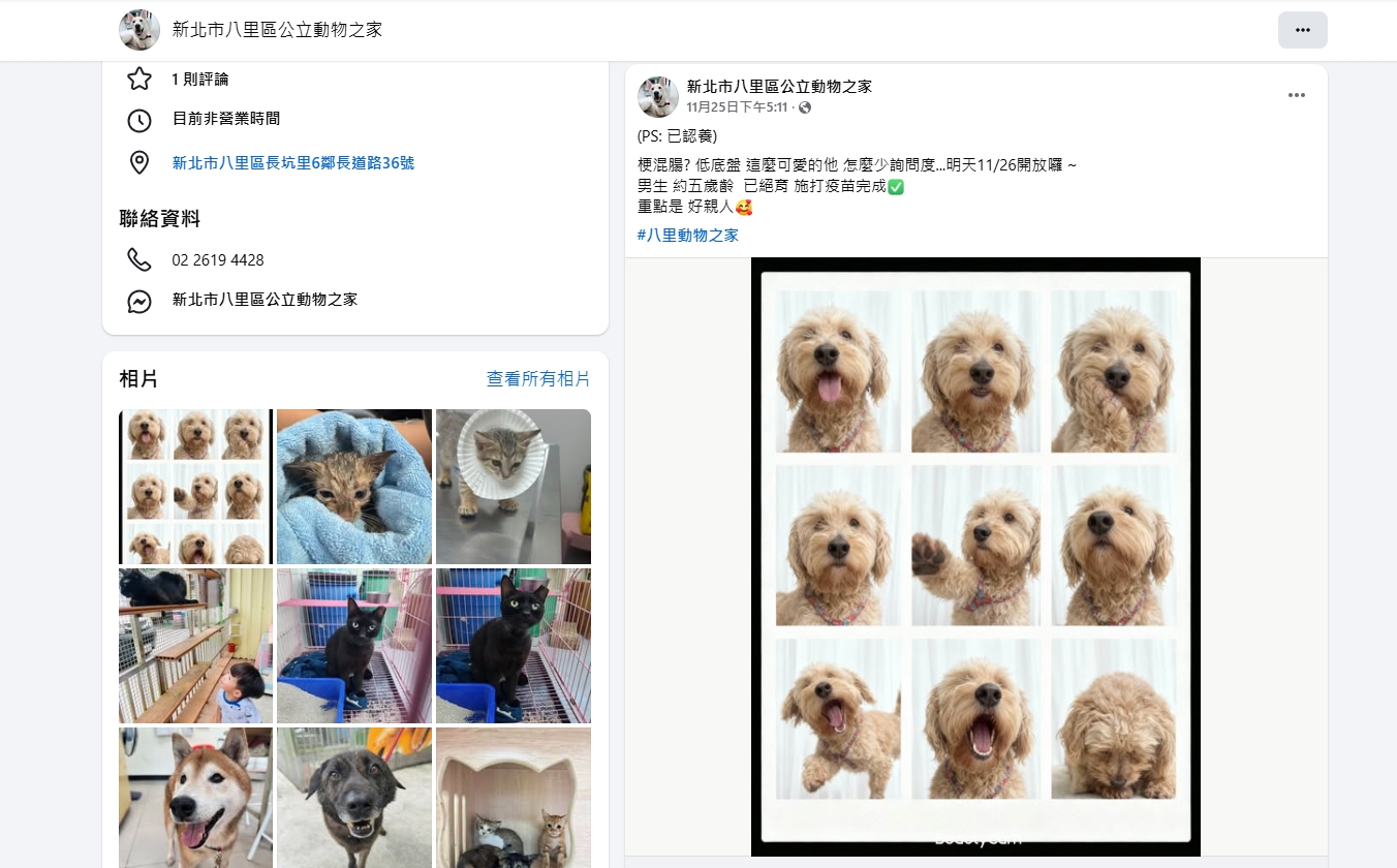  人氣王「米克斯」可愛照片輯